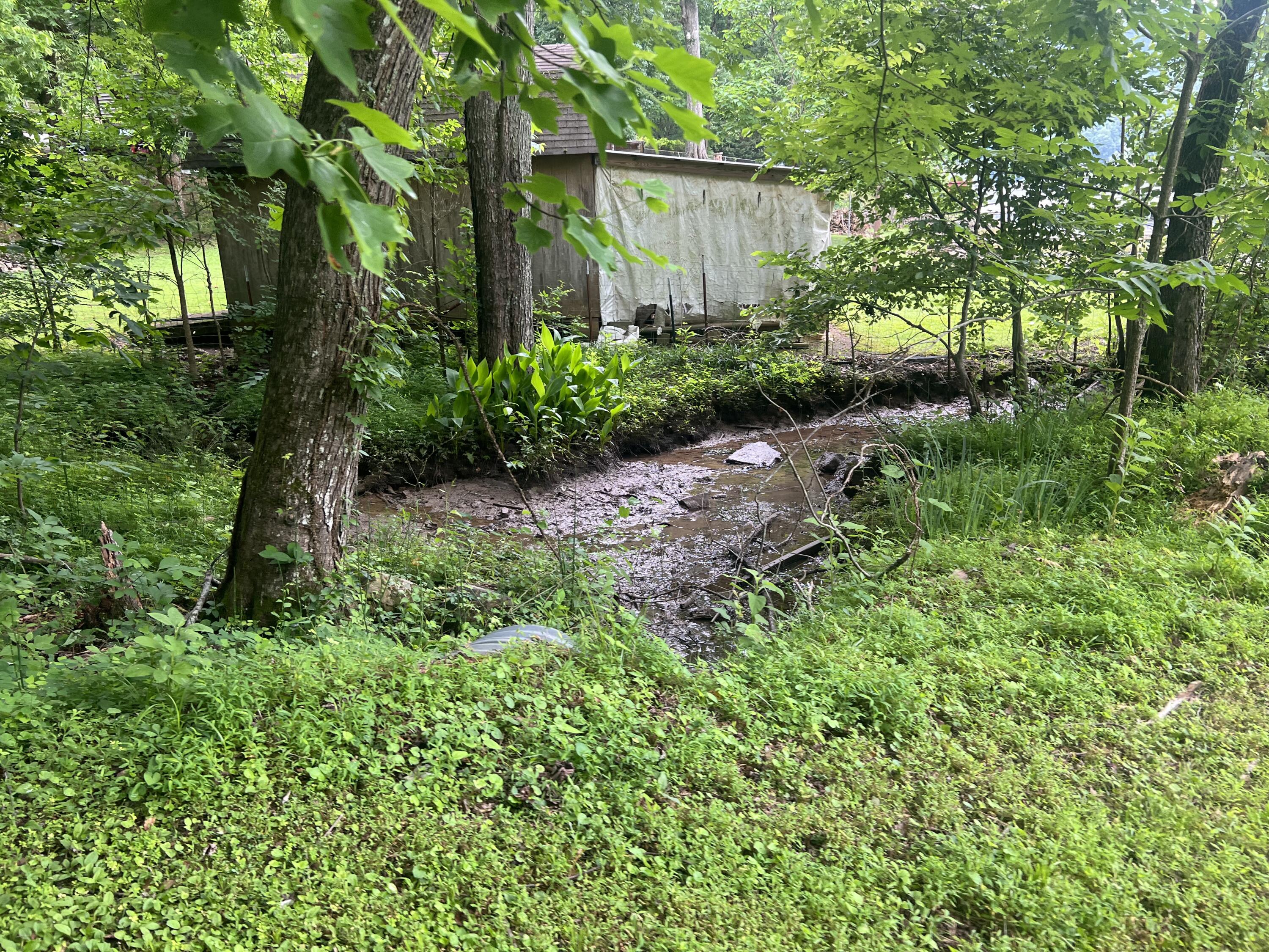 00 Mullins Cove Road, Whitwell, Tennessee image 4