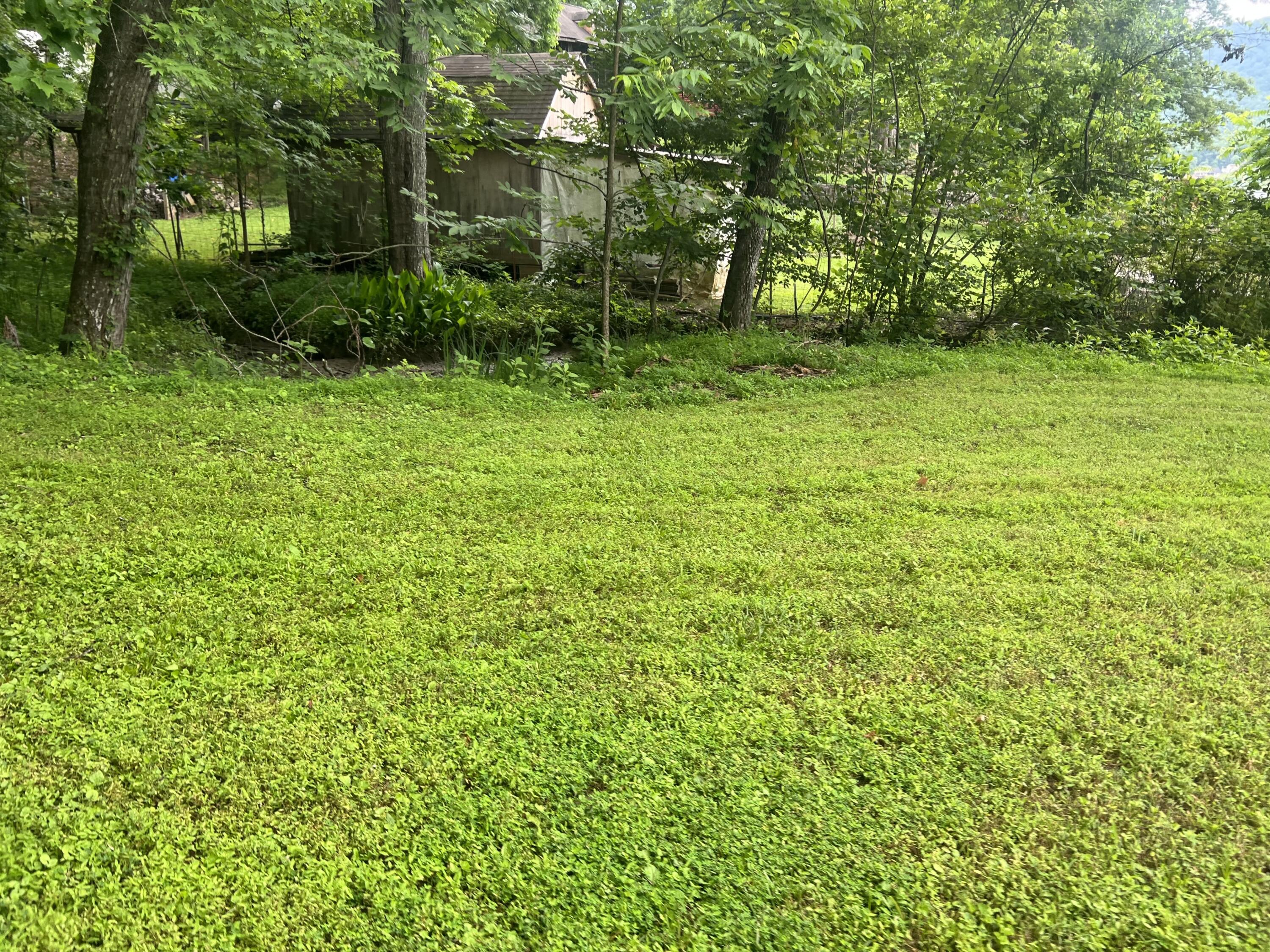 00 Mullins Cove Road, Whitwell, Tennessee image 3