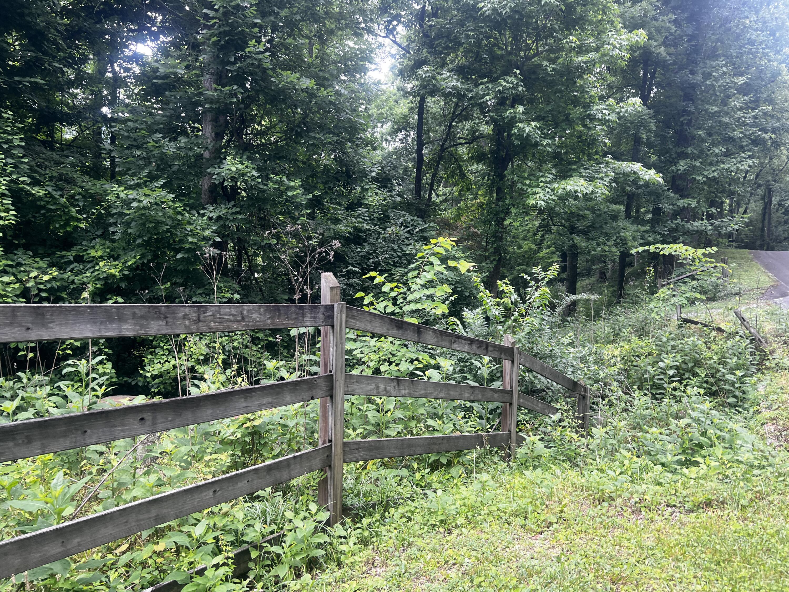 00 Mullins Cove Road, Whitwell, Tennessee image 11