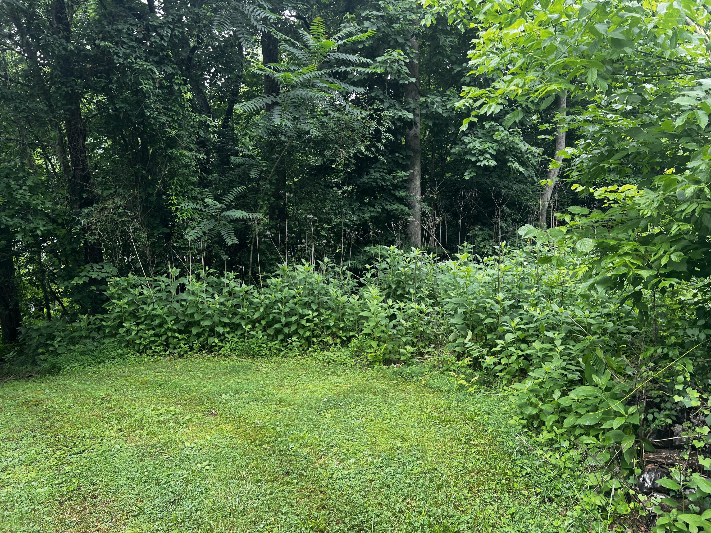 00 Mullins Cove Road, Whitwell, Tennessee image 6