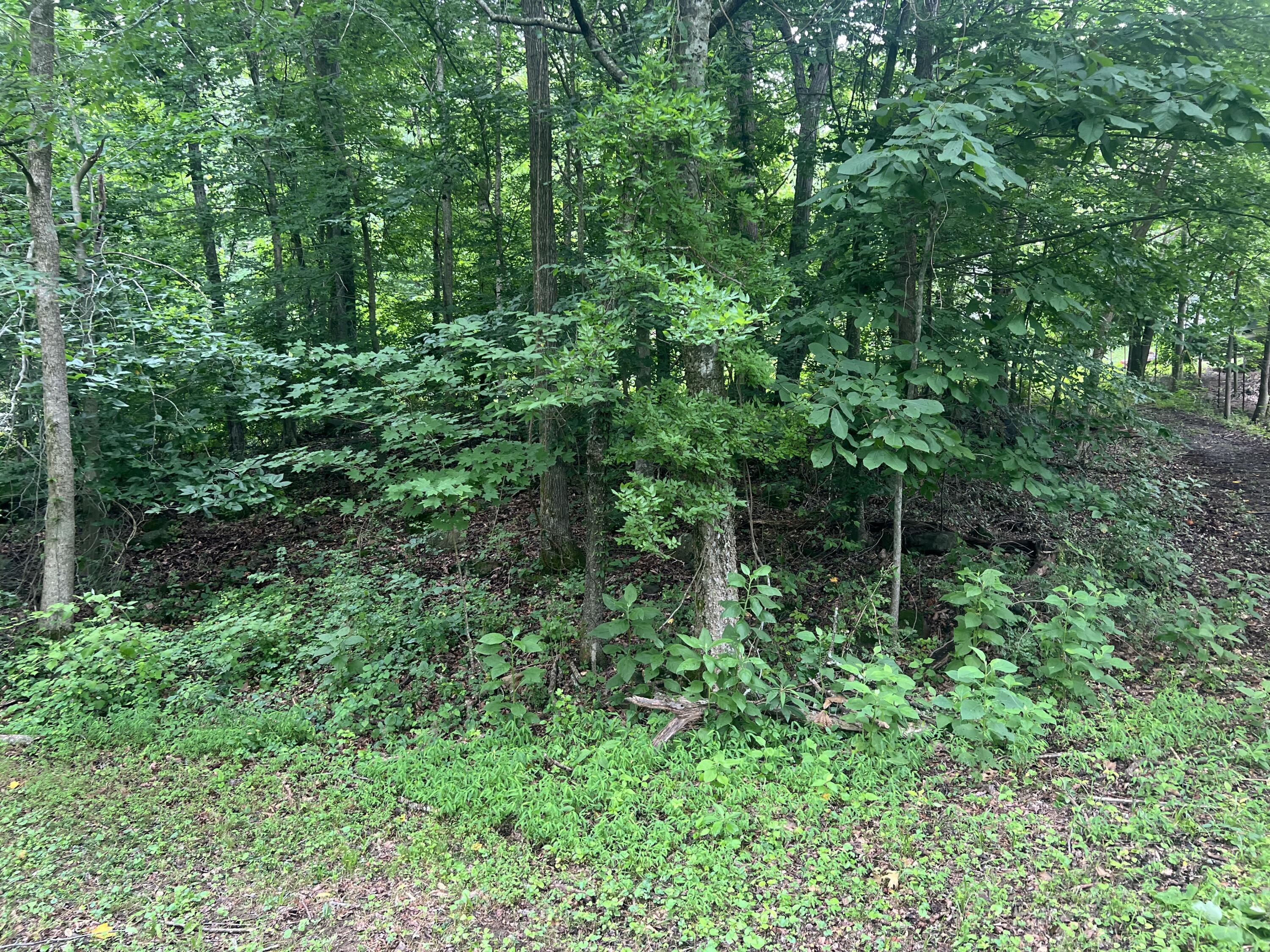 00 Mullins Cove Road, Whitwell, Tennessee image 7
