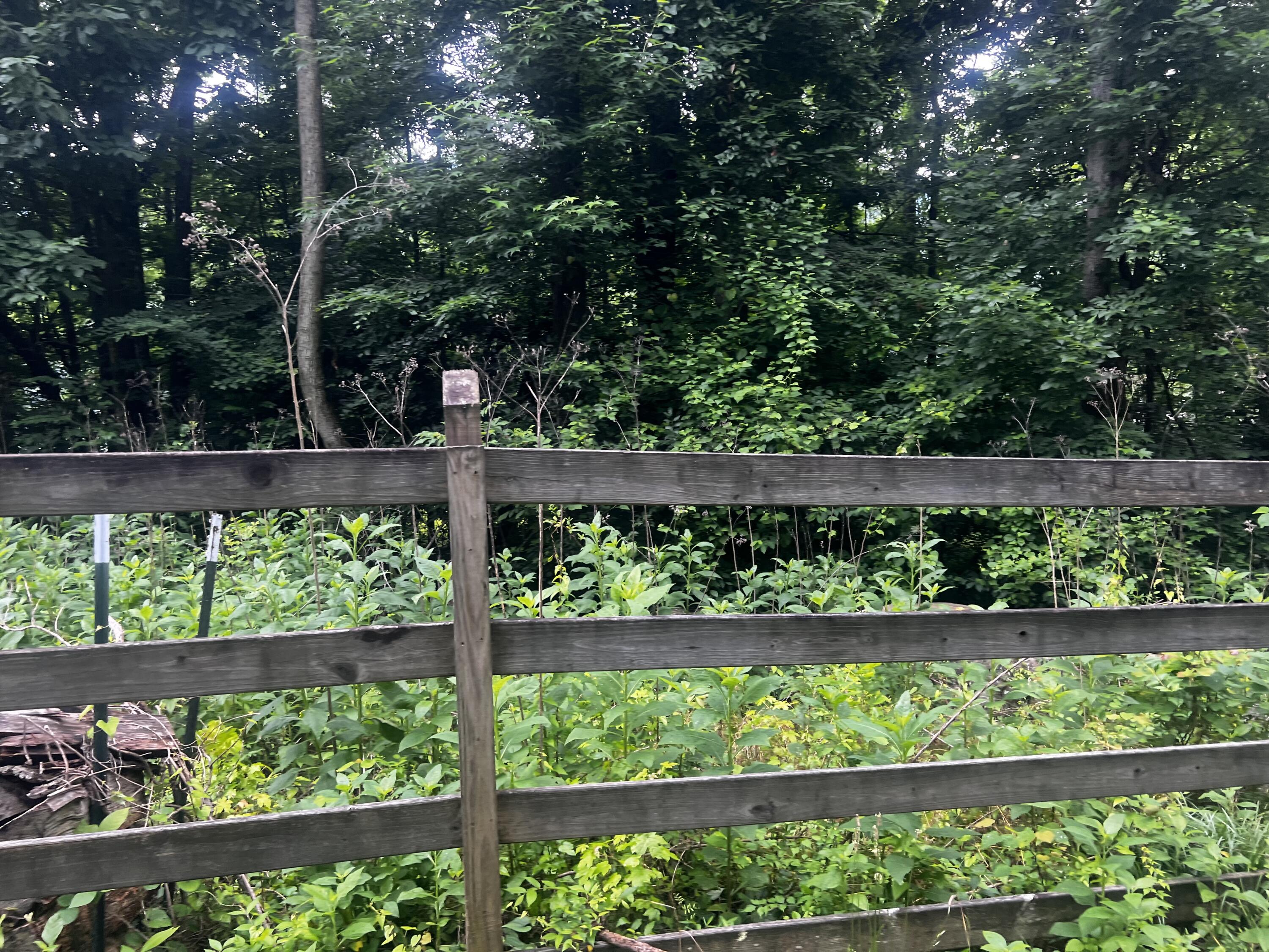 00 Mullins Cove Road, Whitwell, Tennessee image 10