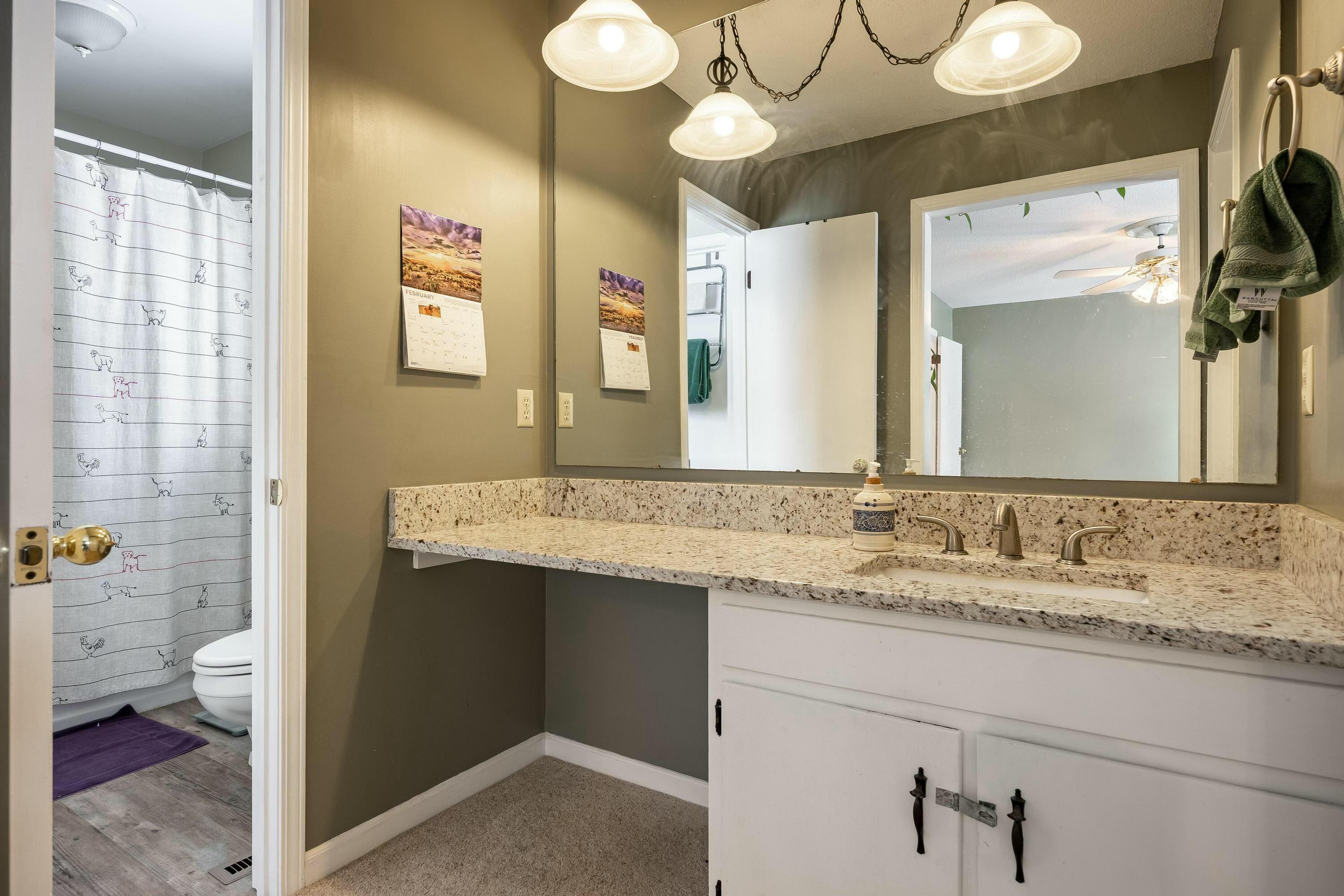 4613 Anderson Pike, Signal Mountain, Tennessee image 21
