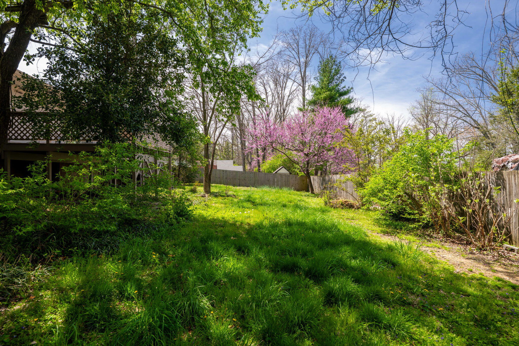 207 N Palisades Drive, Signal Mountain, Tennessee image 32
