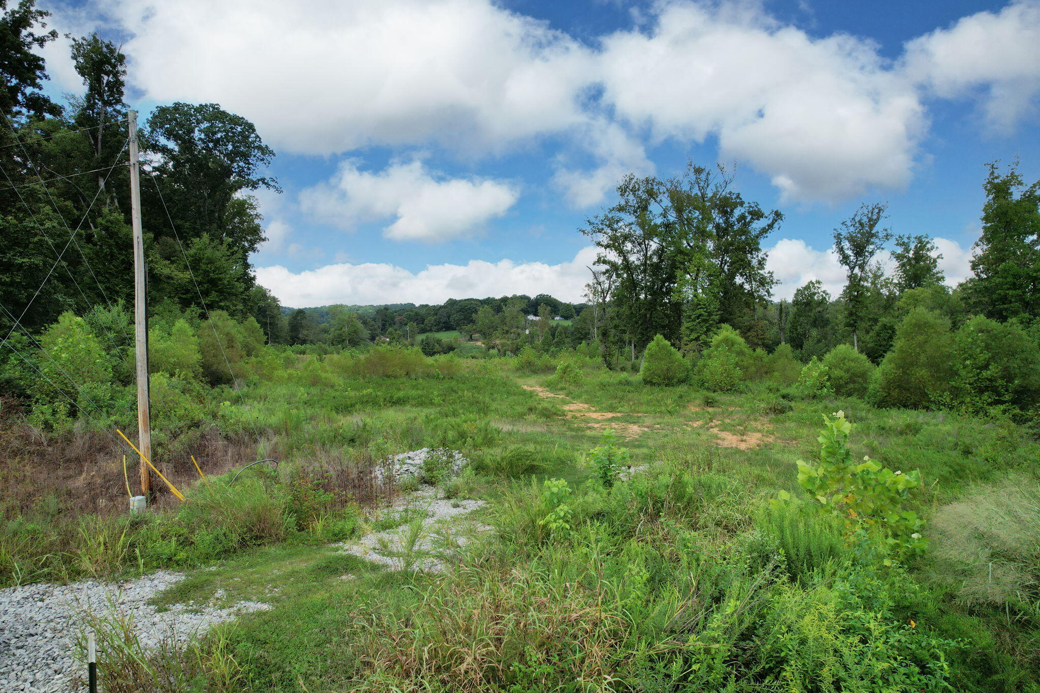 Denso Drive, Athens, Tennessee image 5