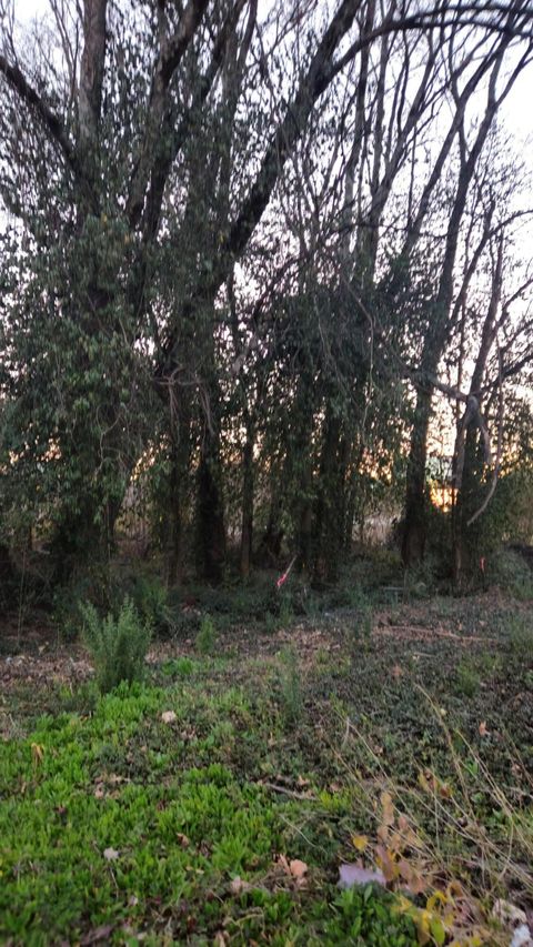 Tiny photo for 8203 Old Lee Highway, Ooltewah, TN 37363 (MLS # 1506518)