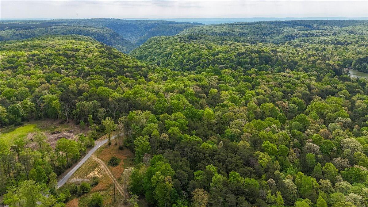 8981 Big Bend Tract E Road, Signal Mountain, Tennessee image 29