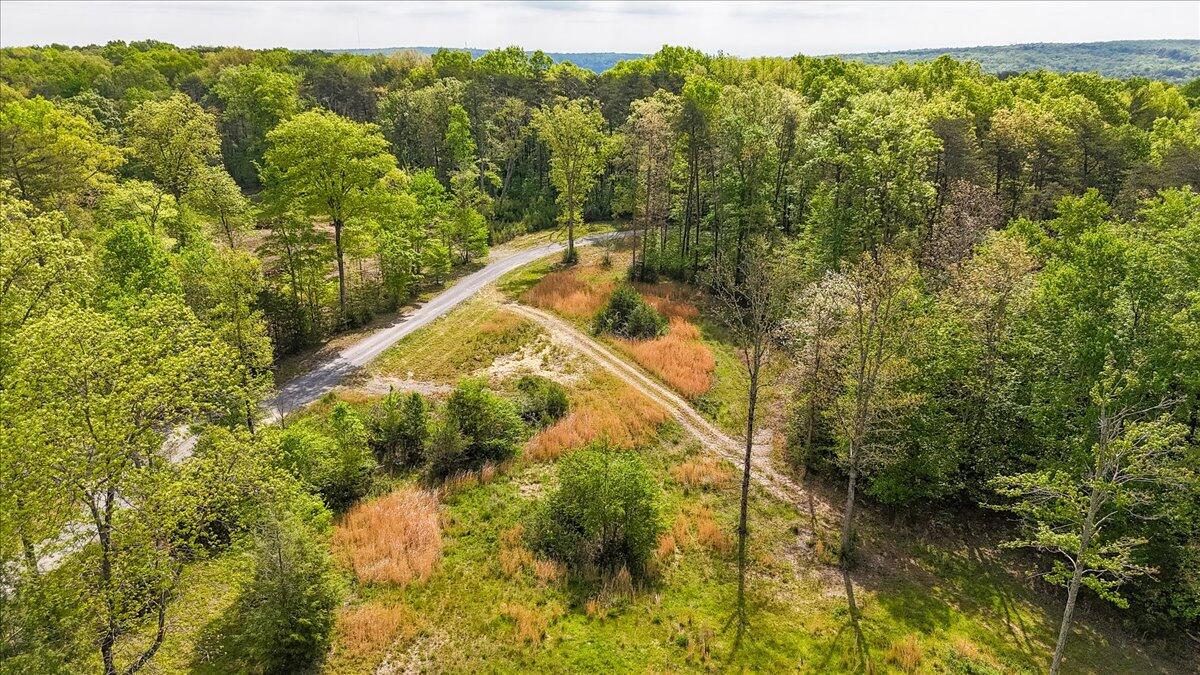 8981 Big Bend Tract E Road, Signal Mountain, Tennessee image 24