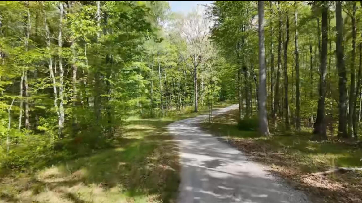 8981 Big Bend Tract E Road, Signal Mountain, Tennessee image 9