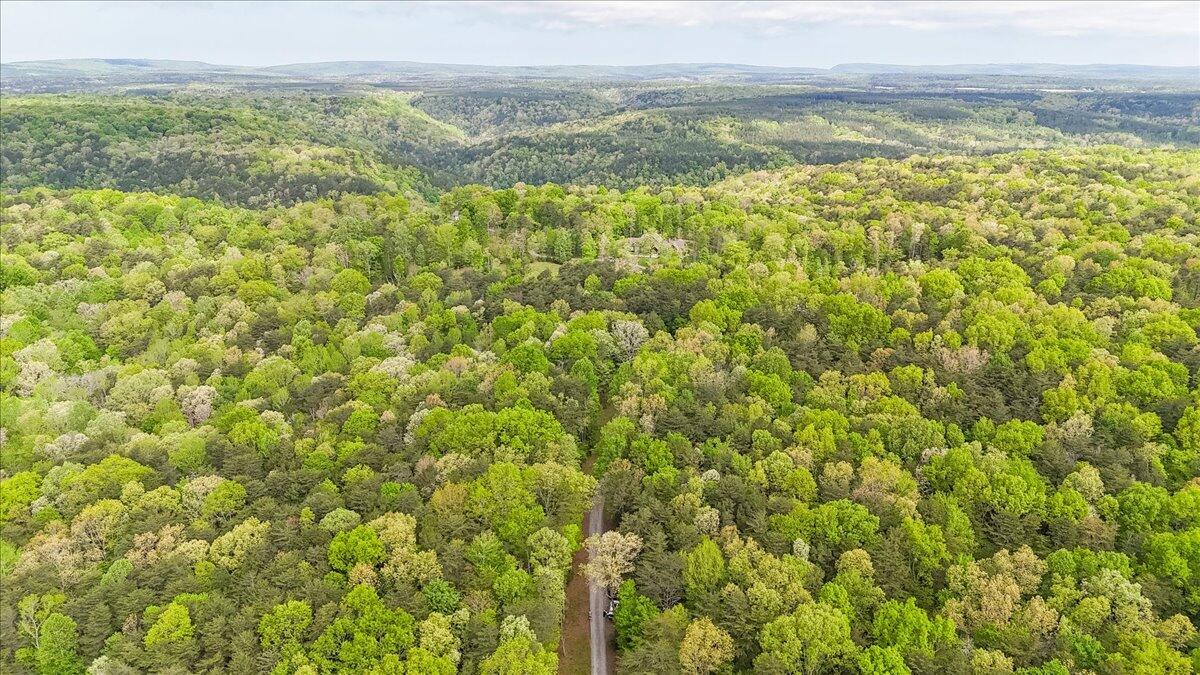 8981 Big Bend Tract E Road, Signal Mountain, Tennessee image 10