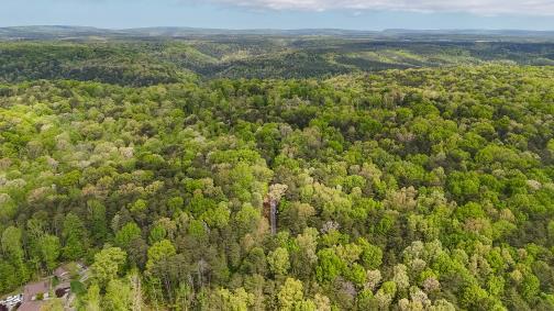 8981 Big Bend Tract E Road, Signal Mountain, Tennessee image 14