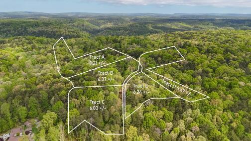 8981 Big Bend Tract E Road, Signal Mountain, Tennessee image 3