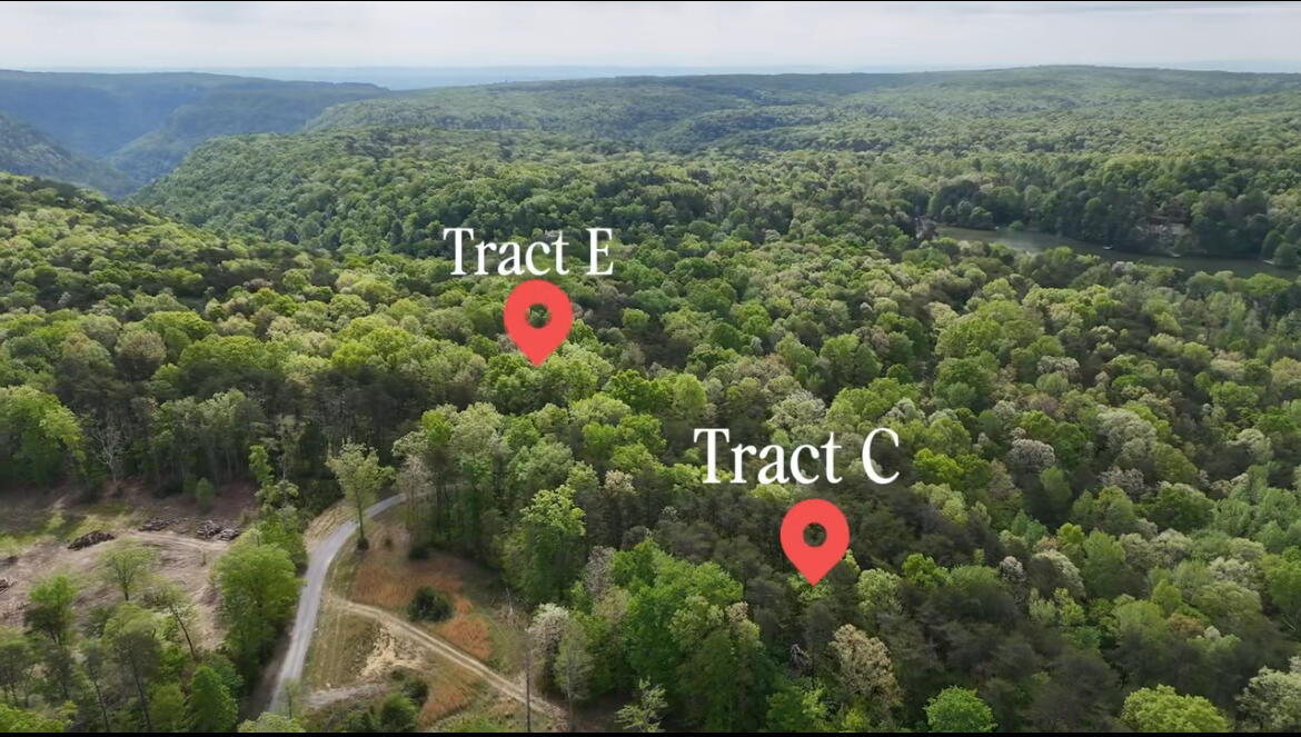 8981 Big Bend Tract E Road, Signal Mountain, Tennessee image 8
