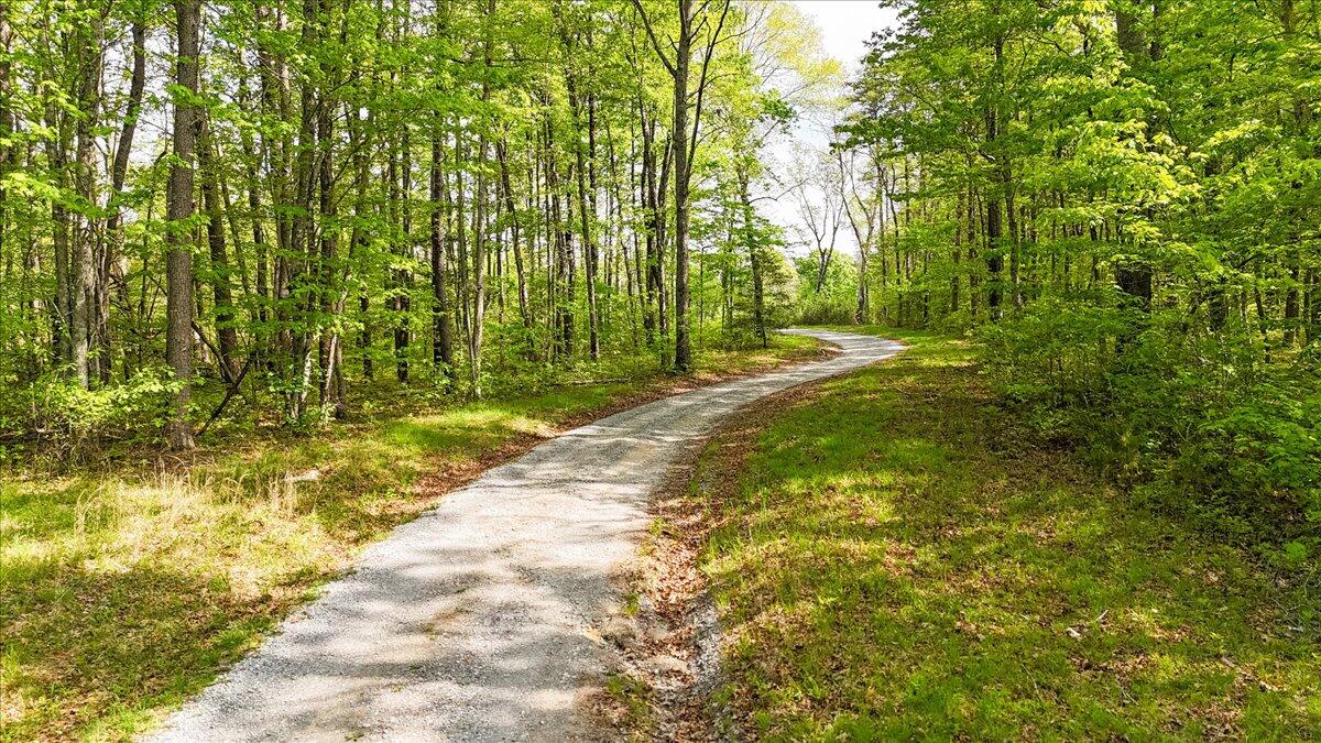 8981 Big Bend Tract E Road, Signal Mountain, Tennessee image 17