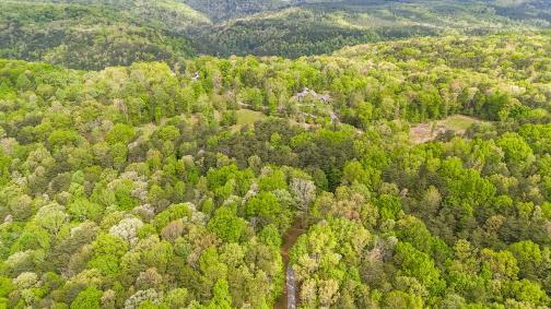 8981 Big Bend Tract E Road, Signal Mountain, Tennessee image 12