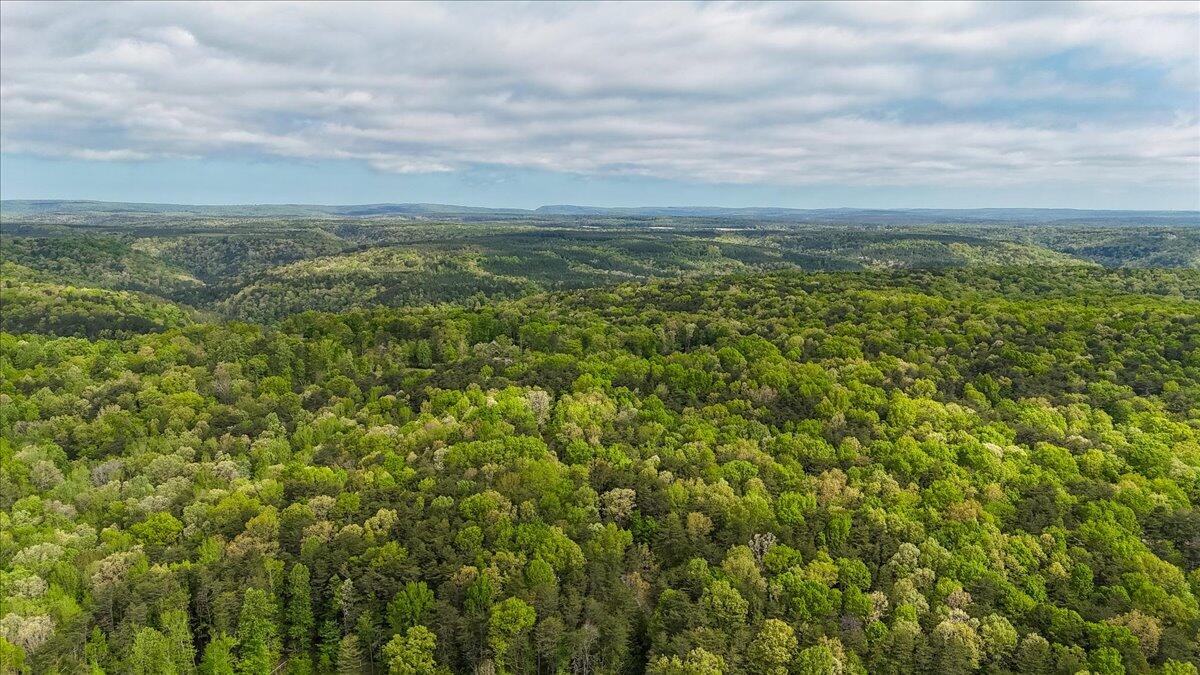 8981 Big Bend Tract E Road, Signal Mountain, Tennessee image 22