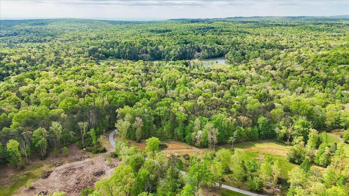 8981 Big Bend Tract E Road, Signal Mountain, Tennessee image 25