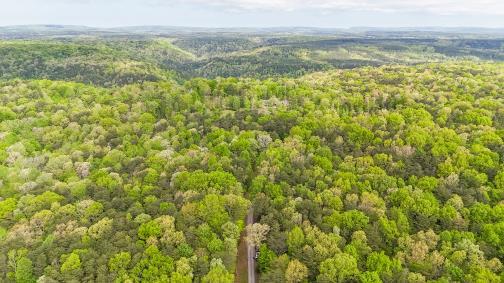 8981 Big Bend Tract E Road, Signal Mountain, Tennessee image 15