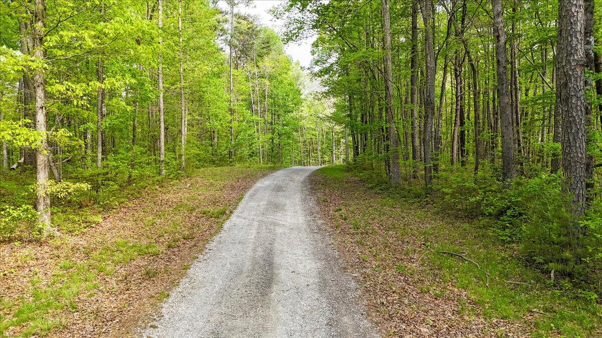 8981 Big Bend Tract E Road, Signal Mountain, Tennessee image 20