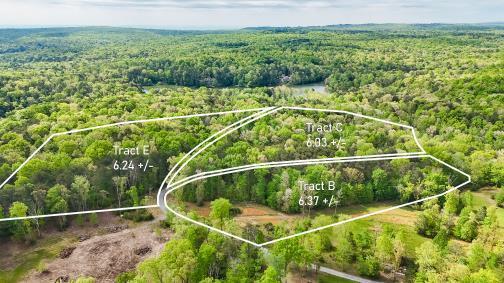 8981 Big Bend Tract E Road, Signal Mountain, Tennessee image 1