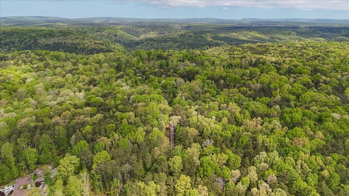 8981 Big Bend Tract E Road, Signal Mountain, Tennessee image 28