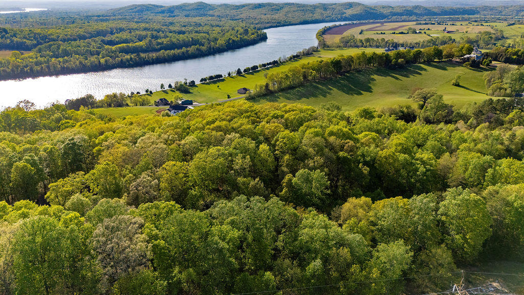 Espalier Drive #LOT 21, Decatur, Tennessee image 8