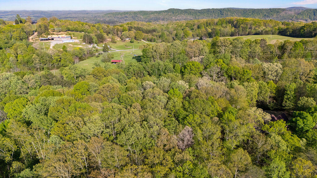 Espalier Drive #LOT 21, Decatur, Tennessee image 11