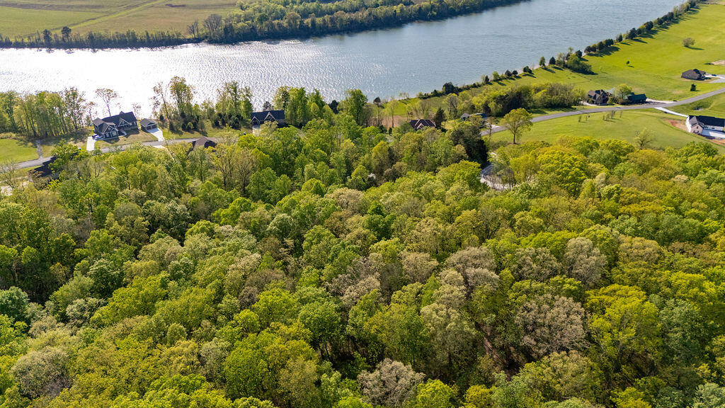 Espalier Drive #LOT 21, Decatur, Tennessee image 6