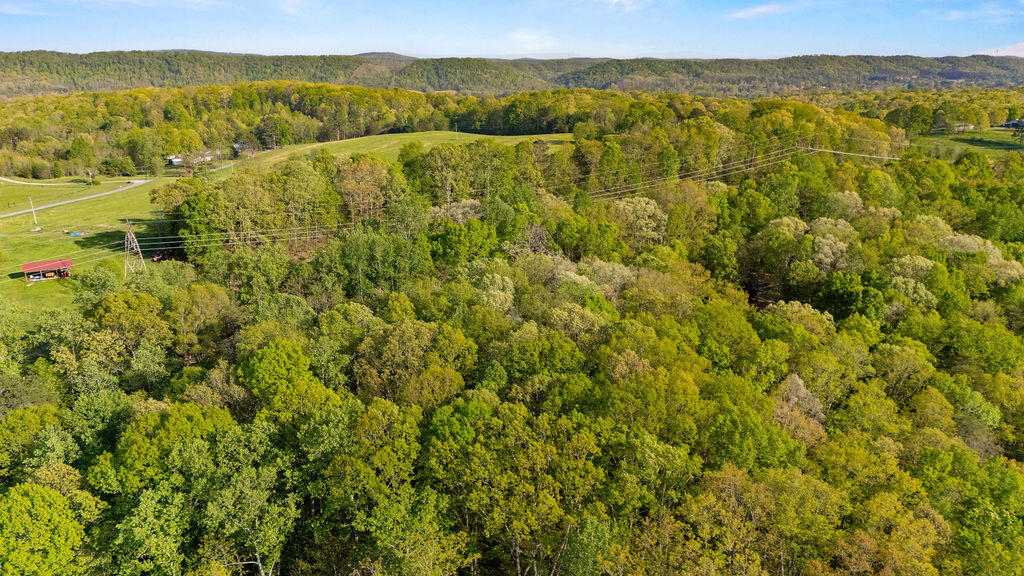 Espalier Drive #LOT 21, Decatur, Tennessee image 10