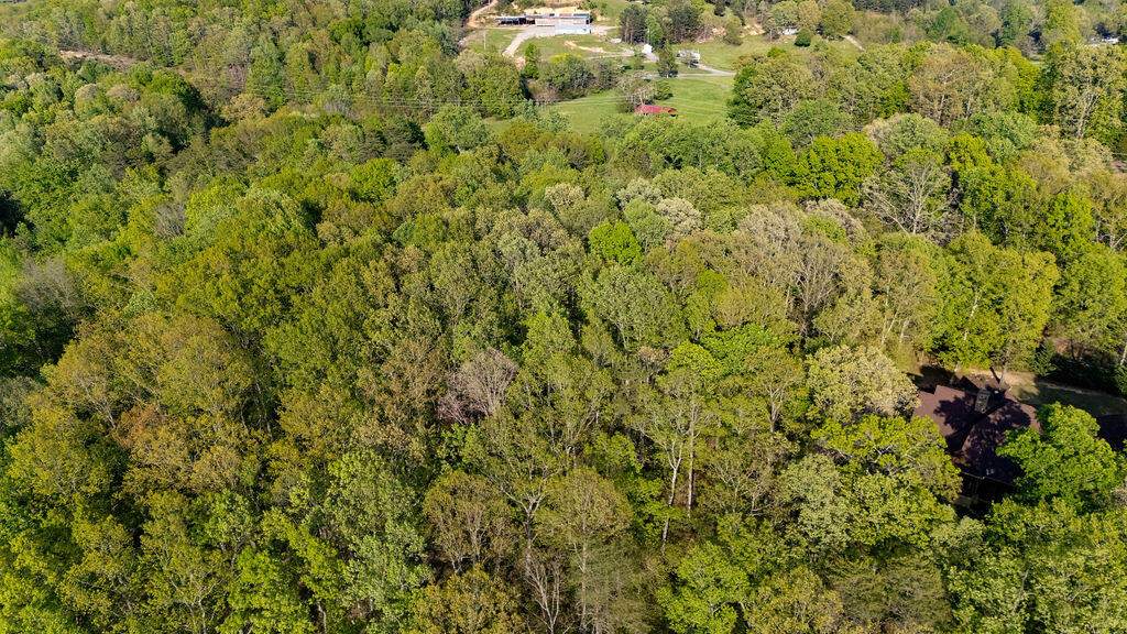 Espalier Drive #LOT 21, Decatur, Tennessee image 12