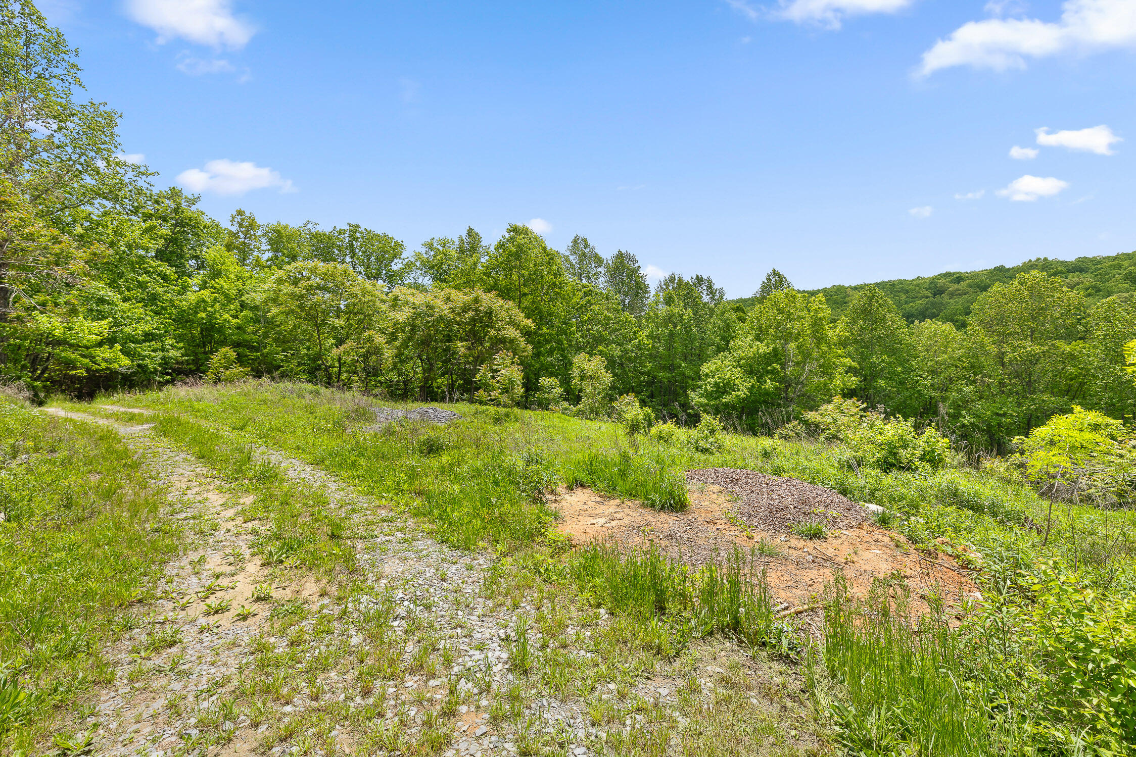Dandy Road #LOT 13  14, Signal Mountain, Tennessee image 2