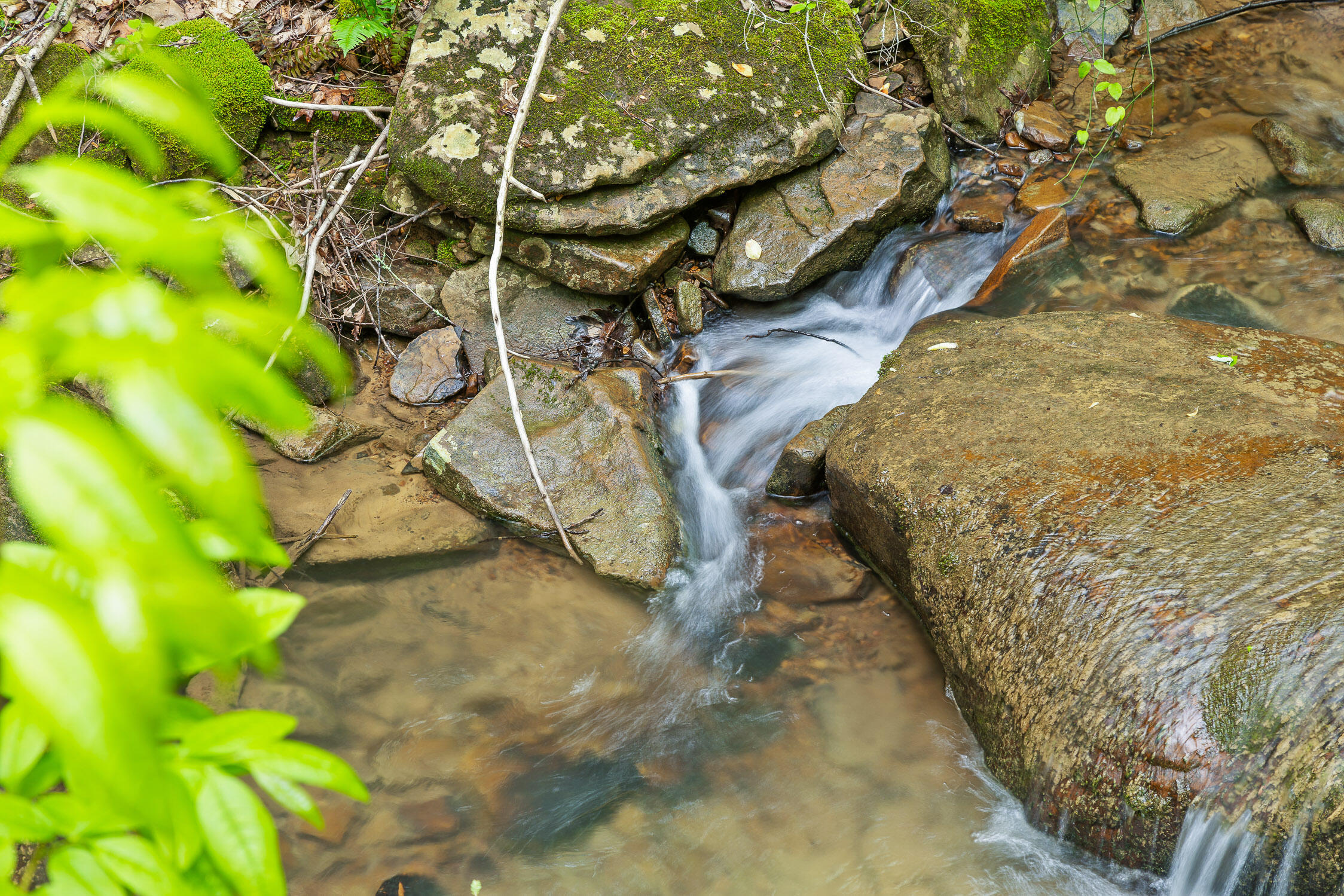 Dandy Road #LOT 13  14, Signal Mountain, Tennessee image 17