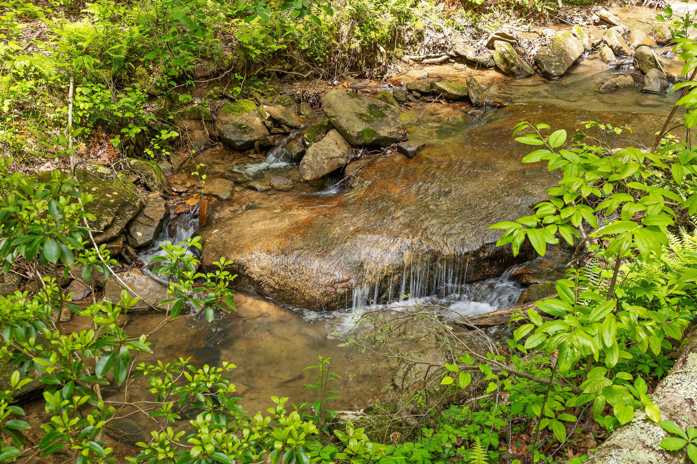 Dandy Road #LOT 13  14, Signal Mountain, Tennessee image 19