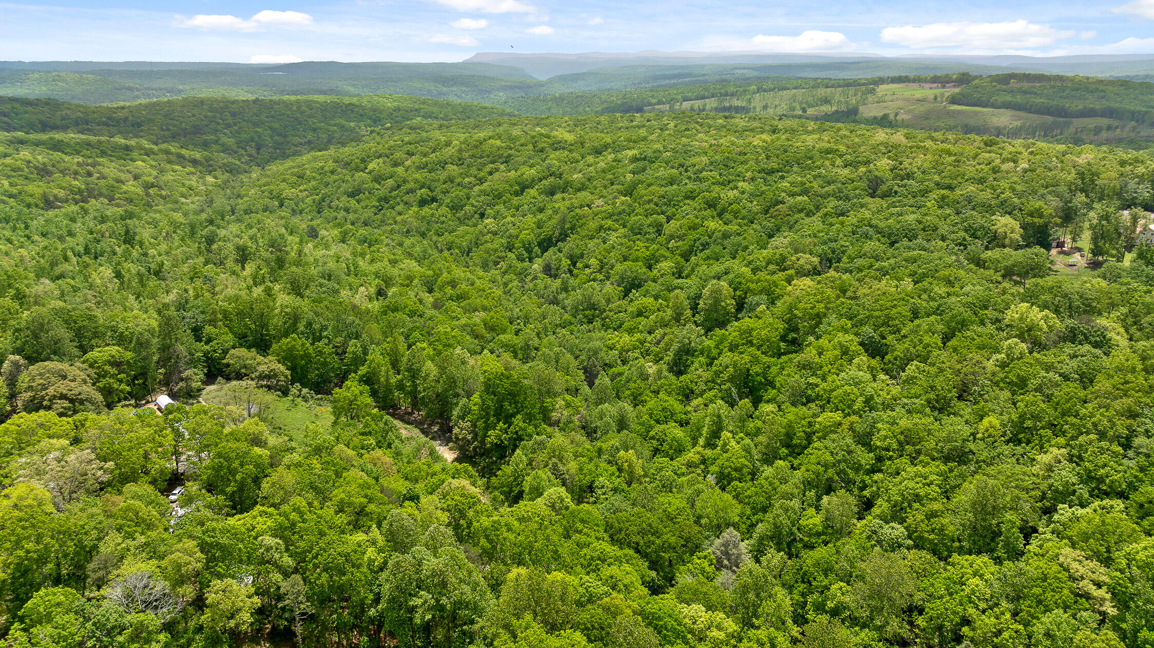 Dandy Road #LOT 13  14, Signal Mountain, Tennessee image 38