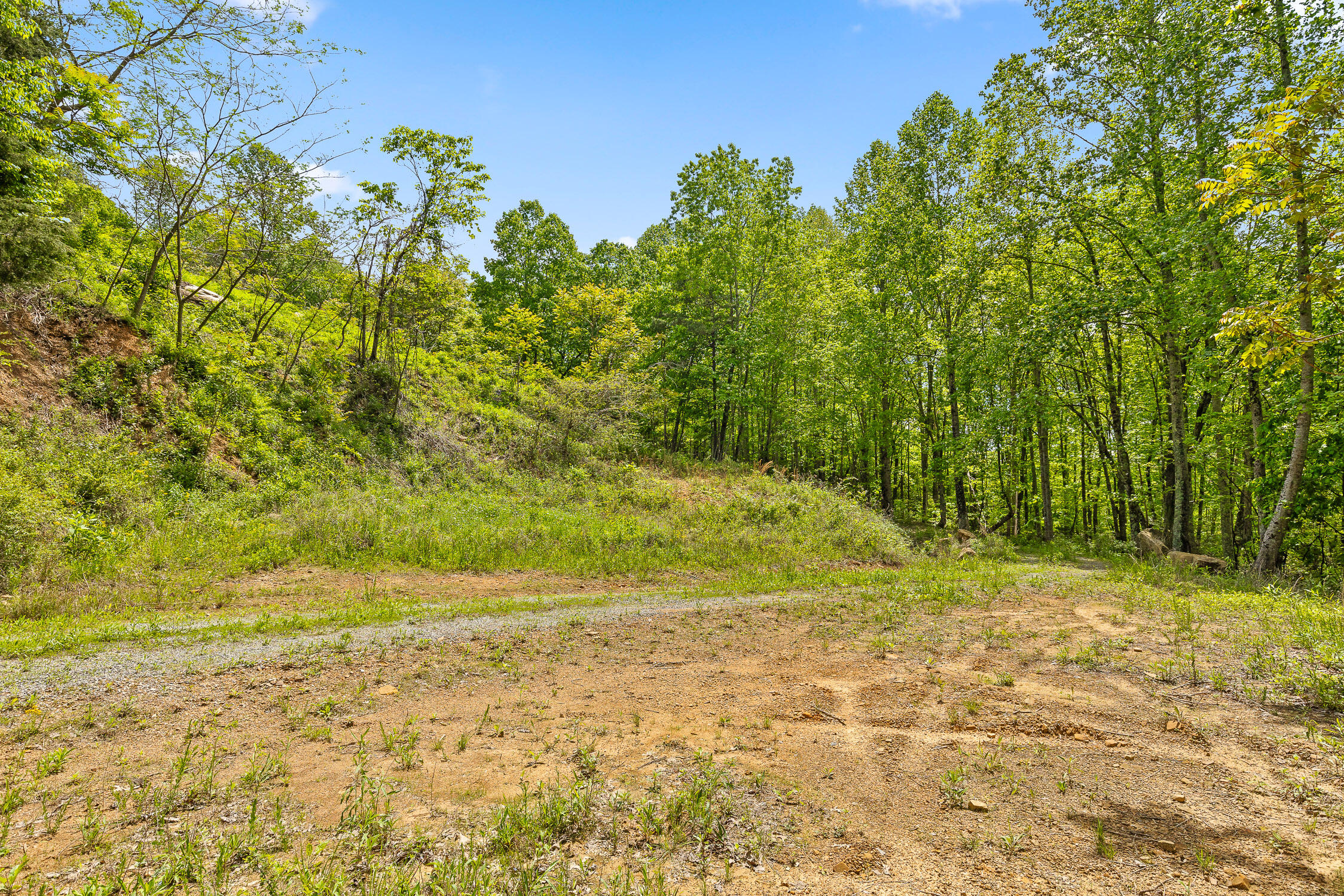 Dandy Road #LOT 13  14, Signal Mountain, Tennessee image 30