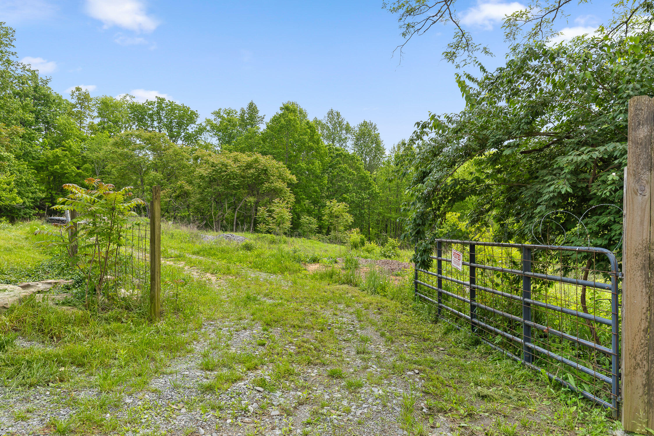 Dandy Road #LOT 13  14, Signal Mountain, Tennessee image 1