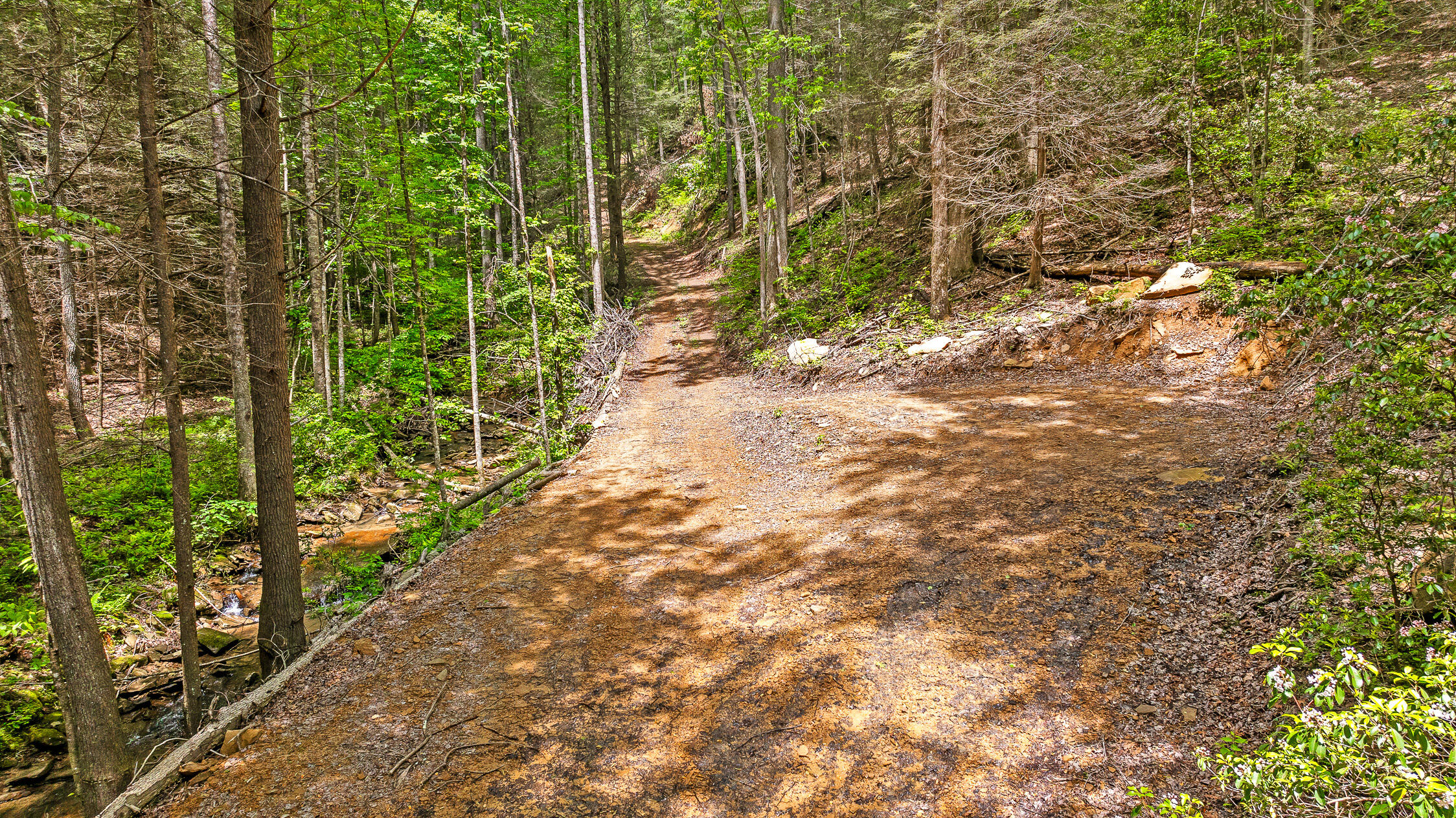 Dandy Road #LOT 13  14, Signal Mountain, Tennessee image 23