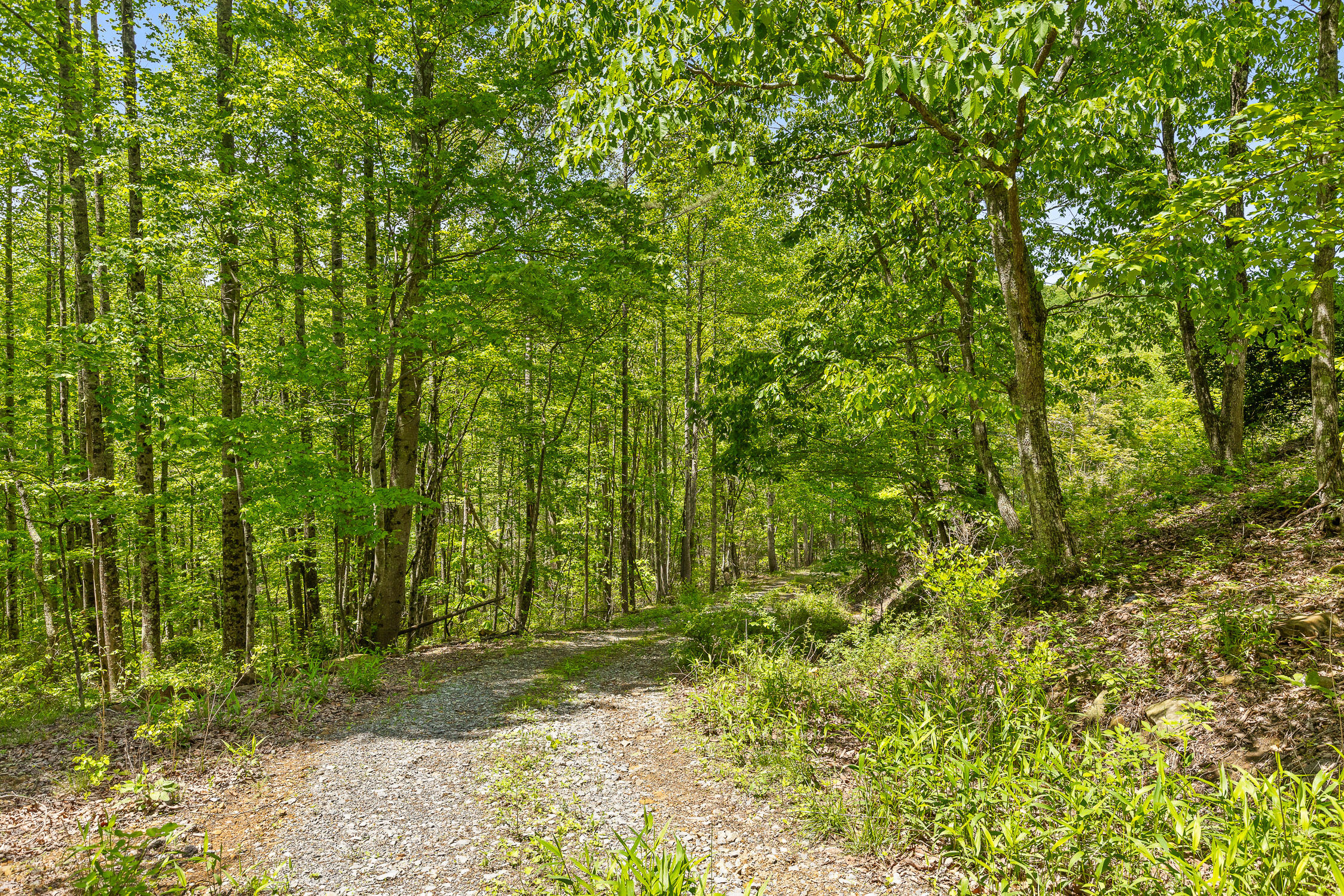 Dandy Road #LOT 13  14, Signal Mountain, Tennessee image 8