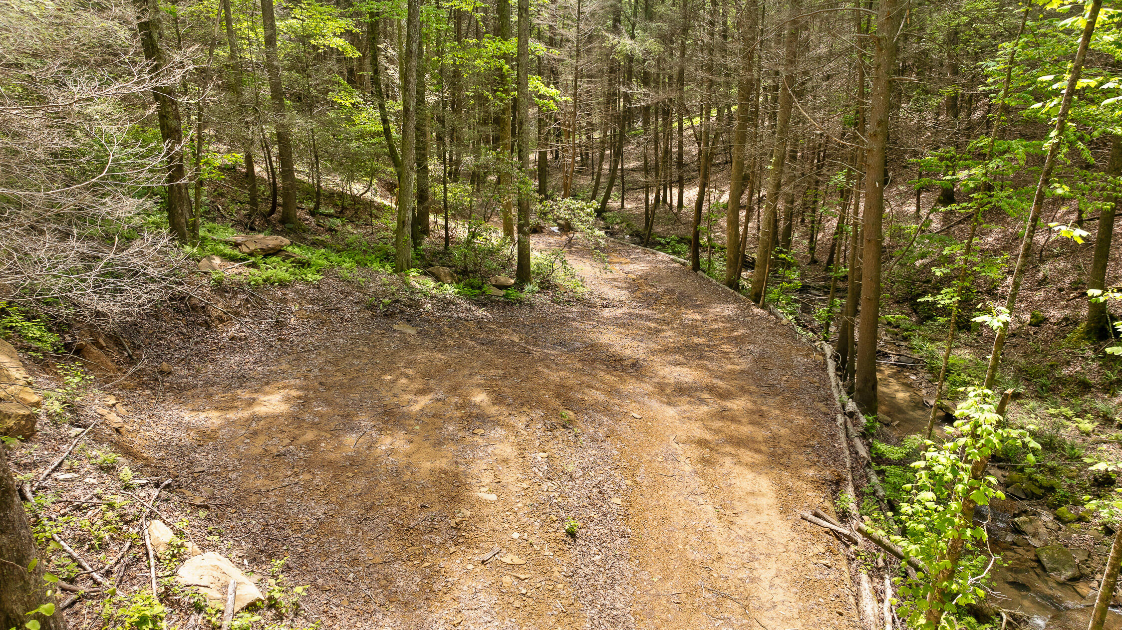 Dandy Road #LOT 13  14, Signal Mountain, Tennessee image 24