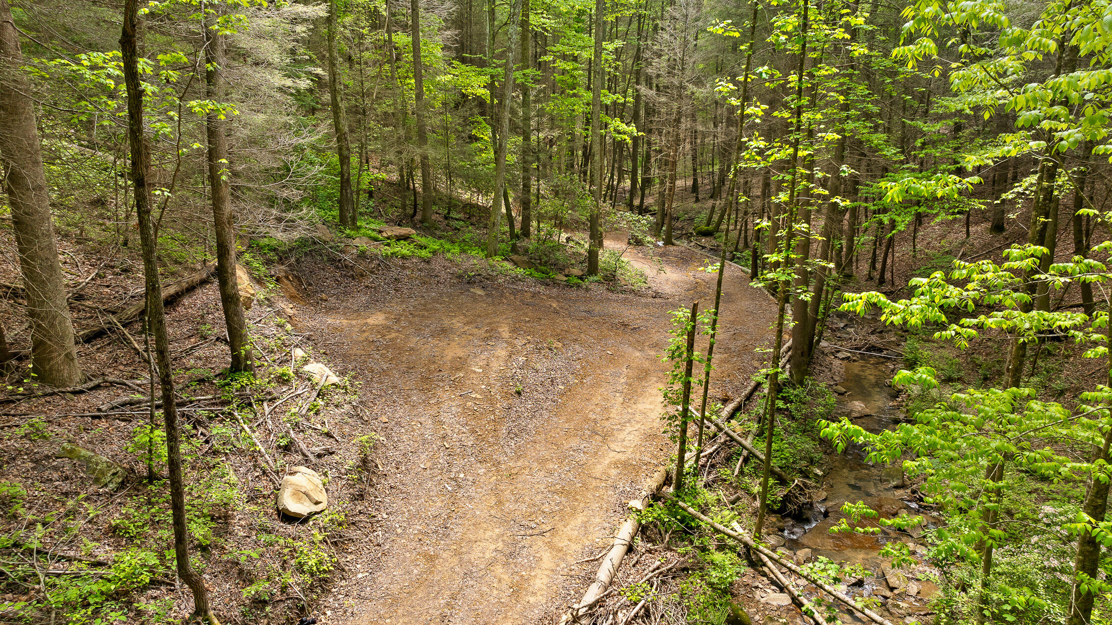 Dandy Road #LOT 13  14, Signal Mountain, Tennessee image 25