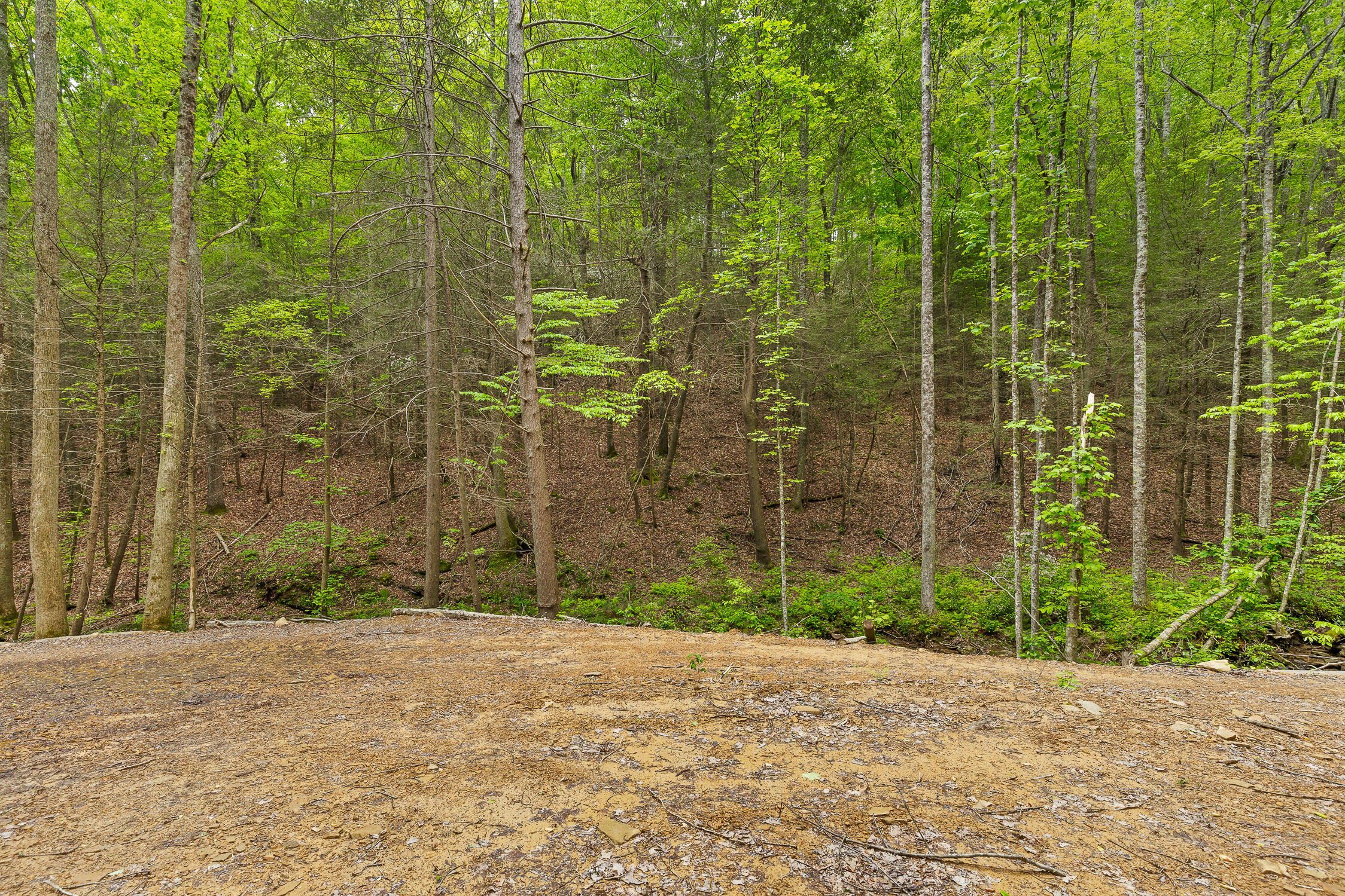 Dandy Road #LOT 13  14, Signal Mountain, Tennessee image 29