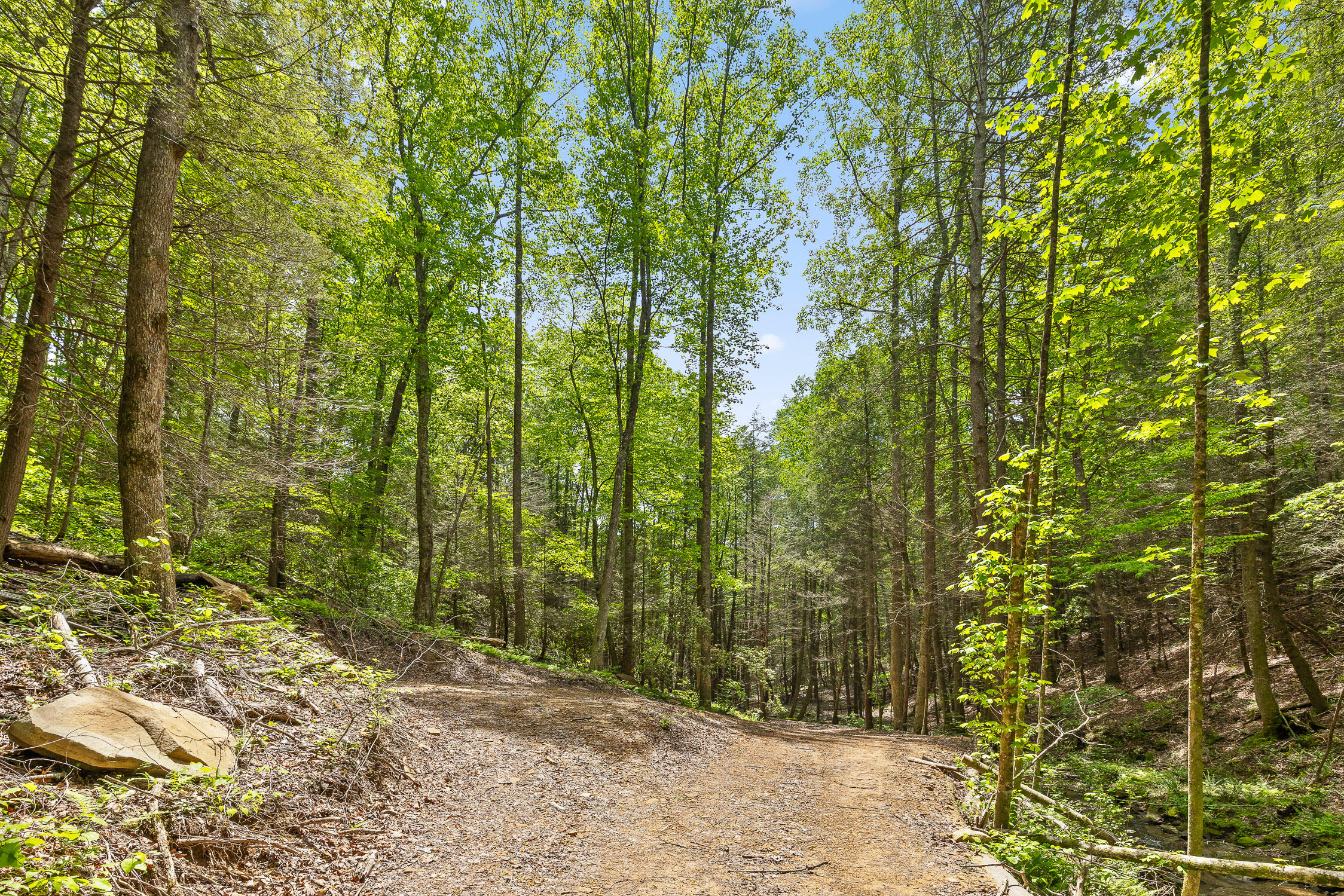 Dandy Road #LOT 13  14, Signal Mountain, Tennessee image 14