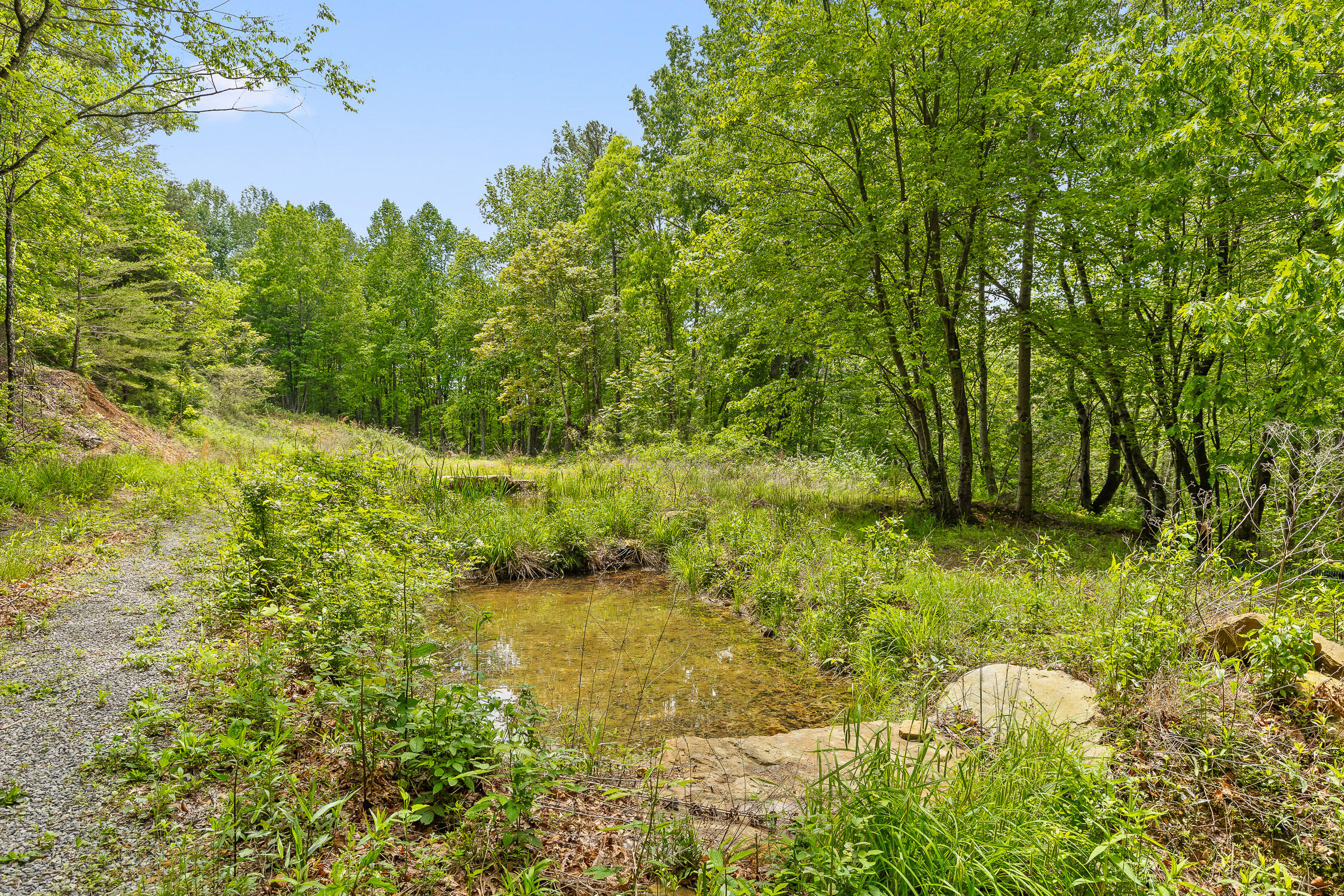 Dandy Road #LOT 13  14, Signal Mountain, Tennessee image 11