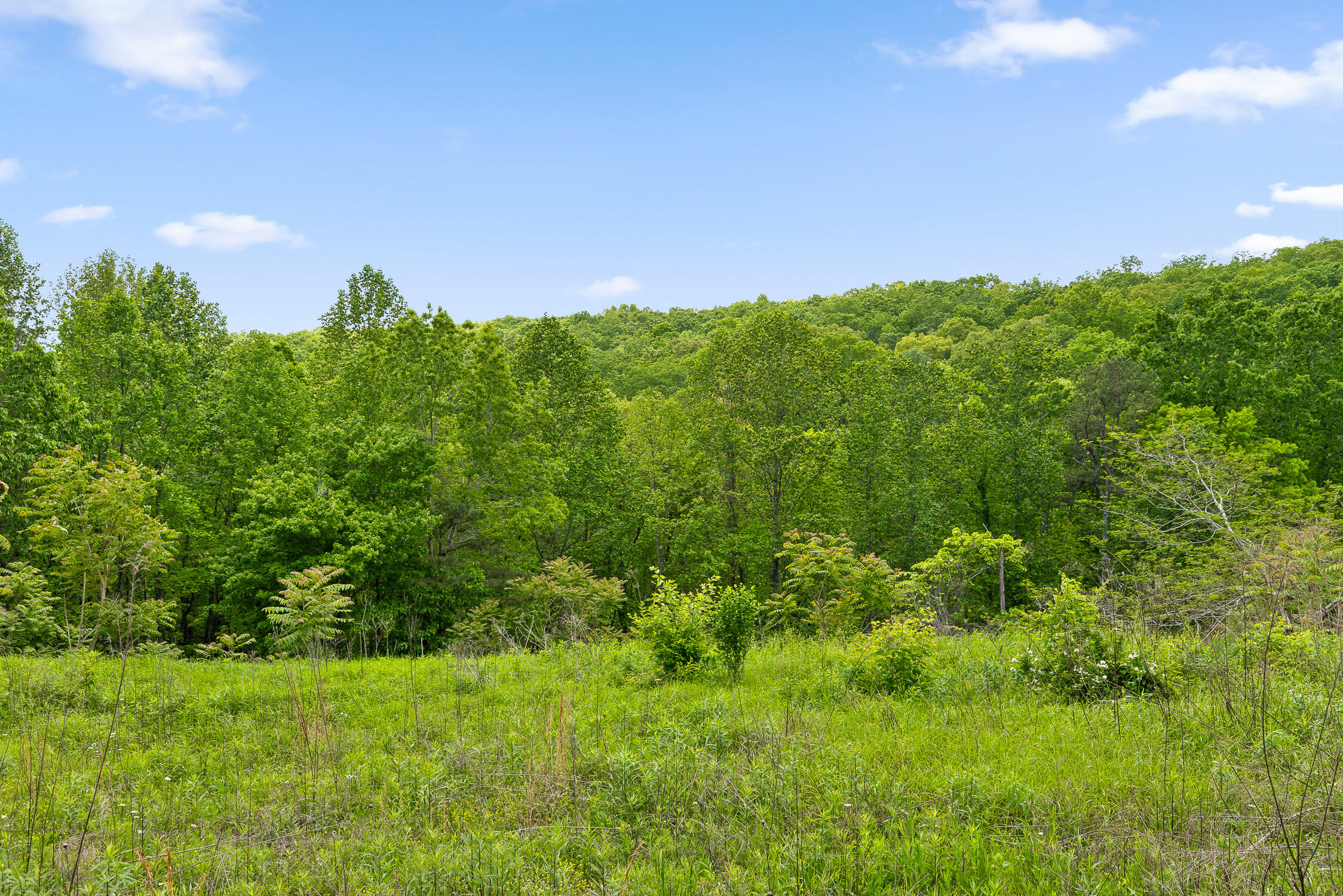 Dandy Road #LOT 13  14, Signal Mountain, Tennessee image 6
