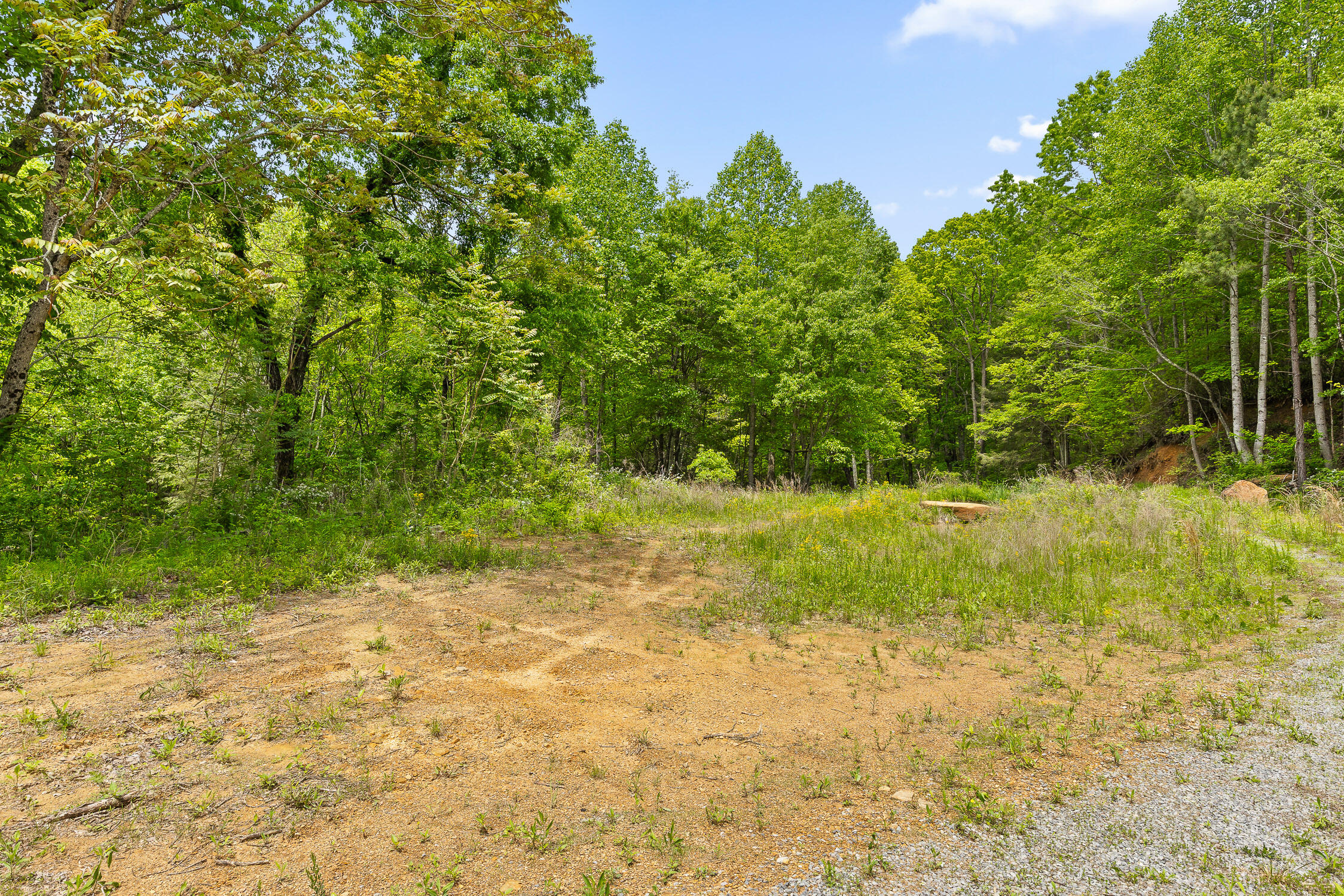 Dandy Road #LOT 13  14, Signal Mountain, Tennessee image 32