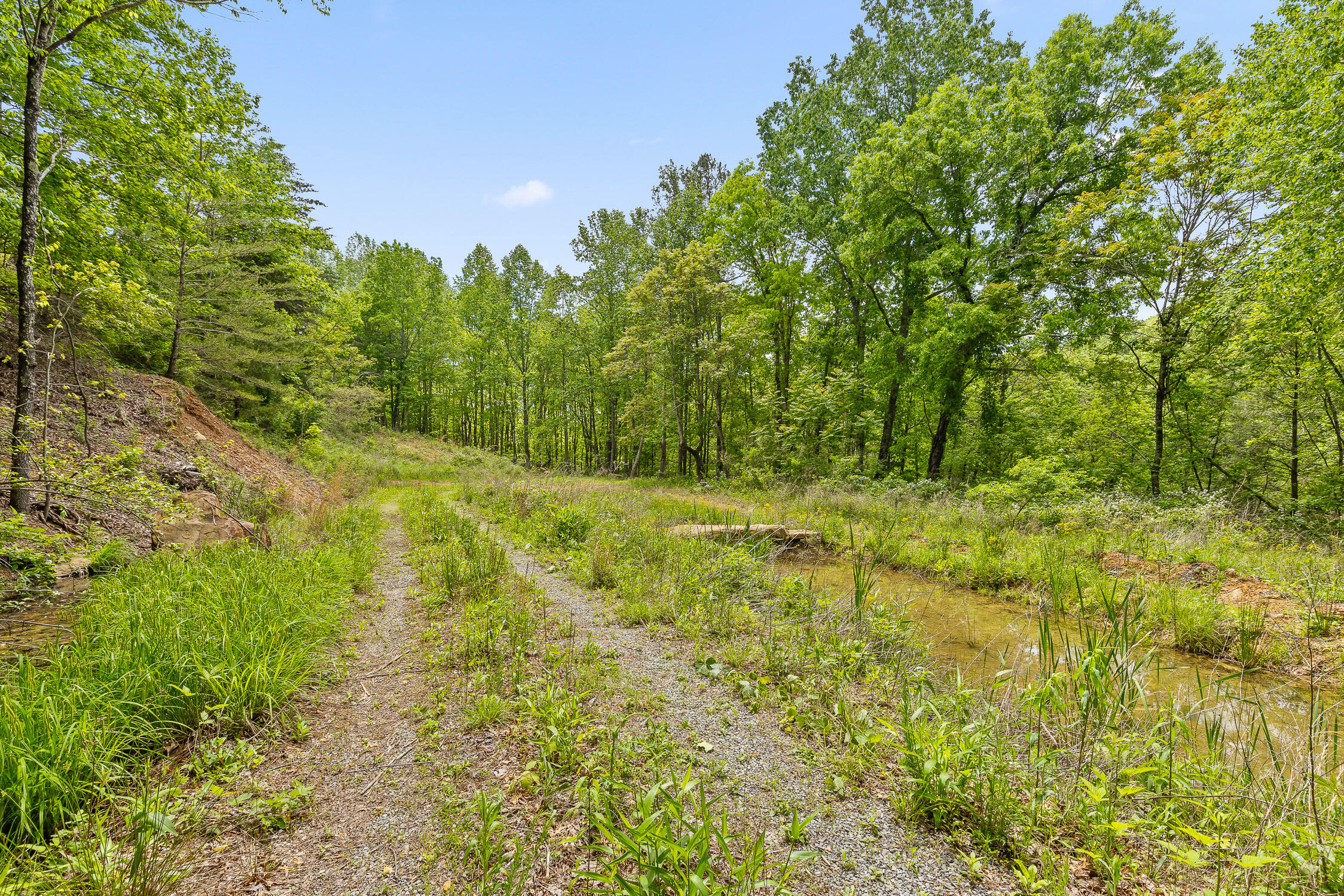 Dandy Road #LOT 13  14, Signal Mountain, Tennessee image 10