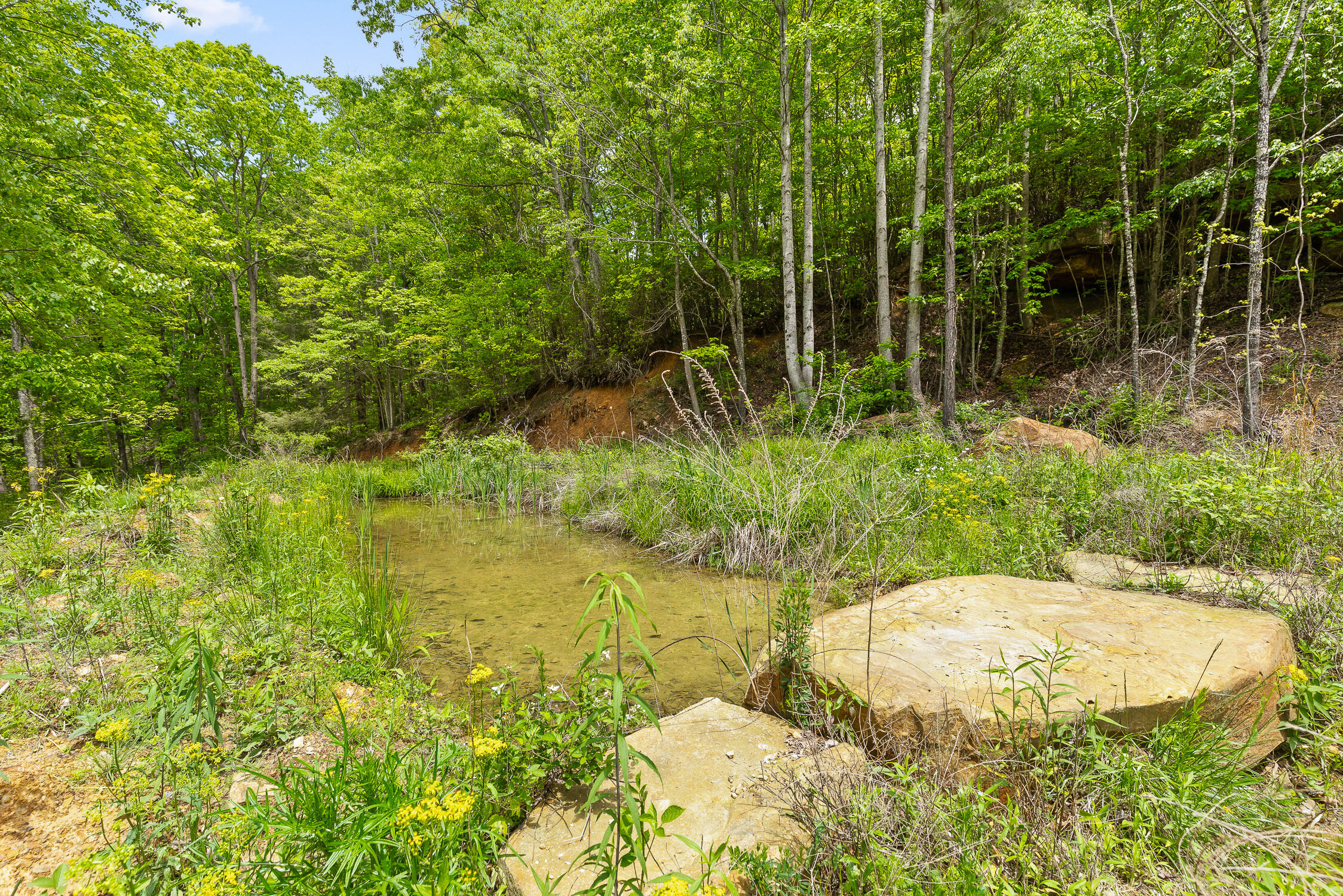 Dandy Road #LOT 13  14, Signal Mountain, Tennessee image 12
