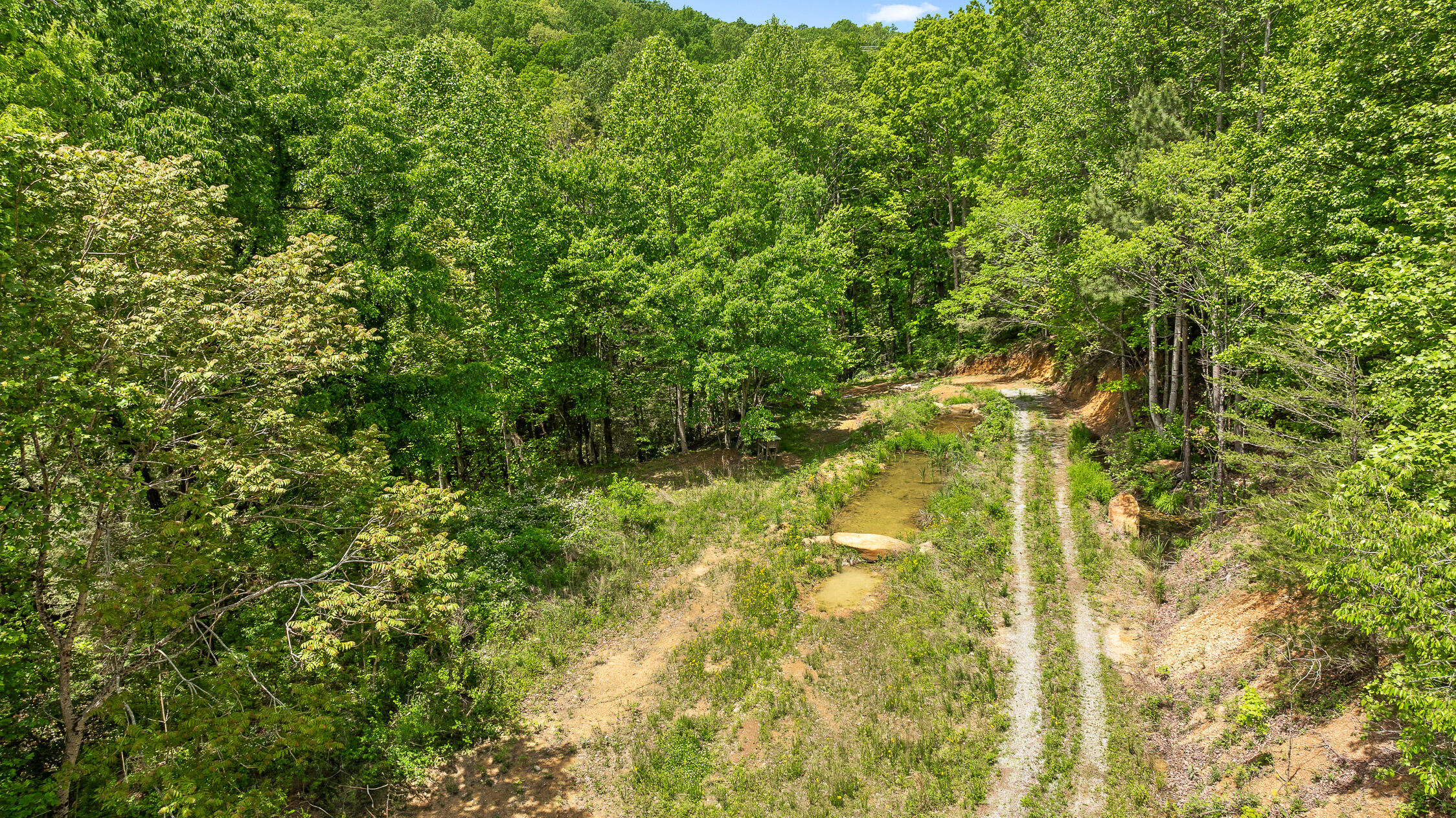 Dandy Road #LOT 13  14, Signal Mountain, Tennessee image 35