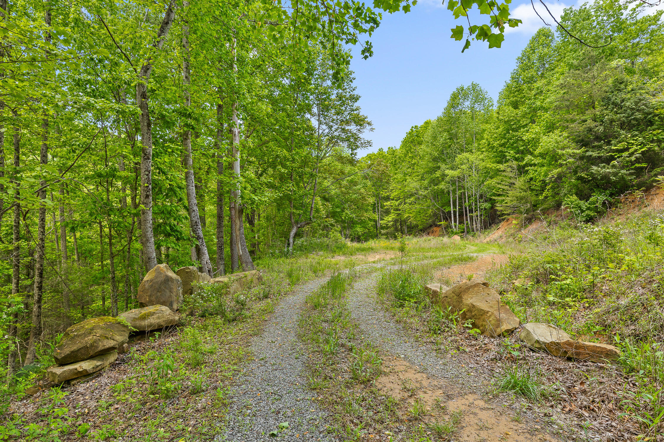 Dandy Road #LOT 13  14, Signal Mountain, Tennessee image 7