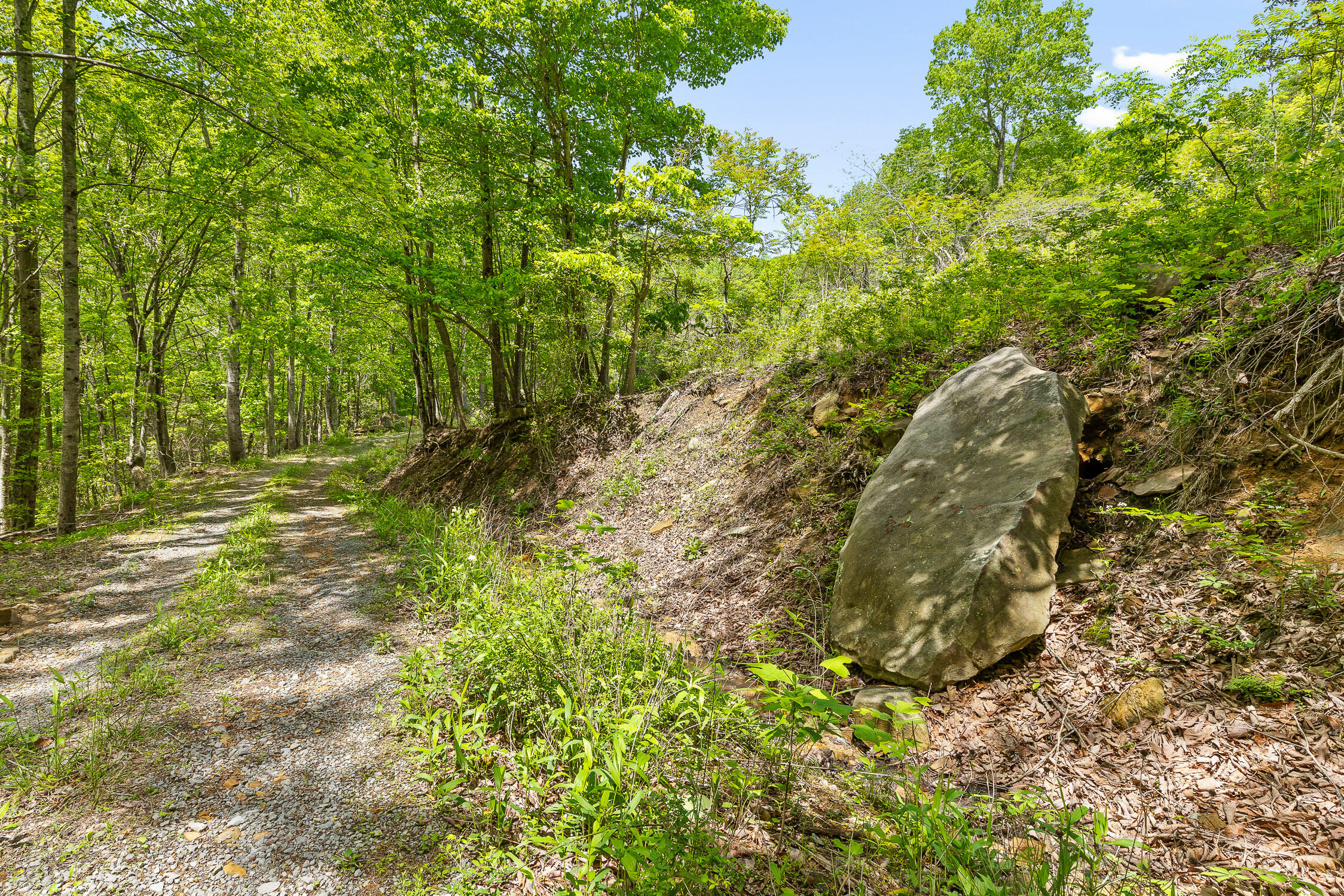 Dandy Road #LOT 13  14, Signal Mountain, Tennessee image 9